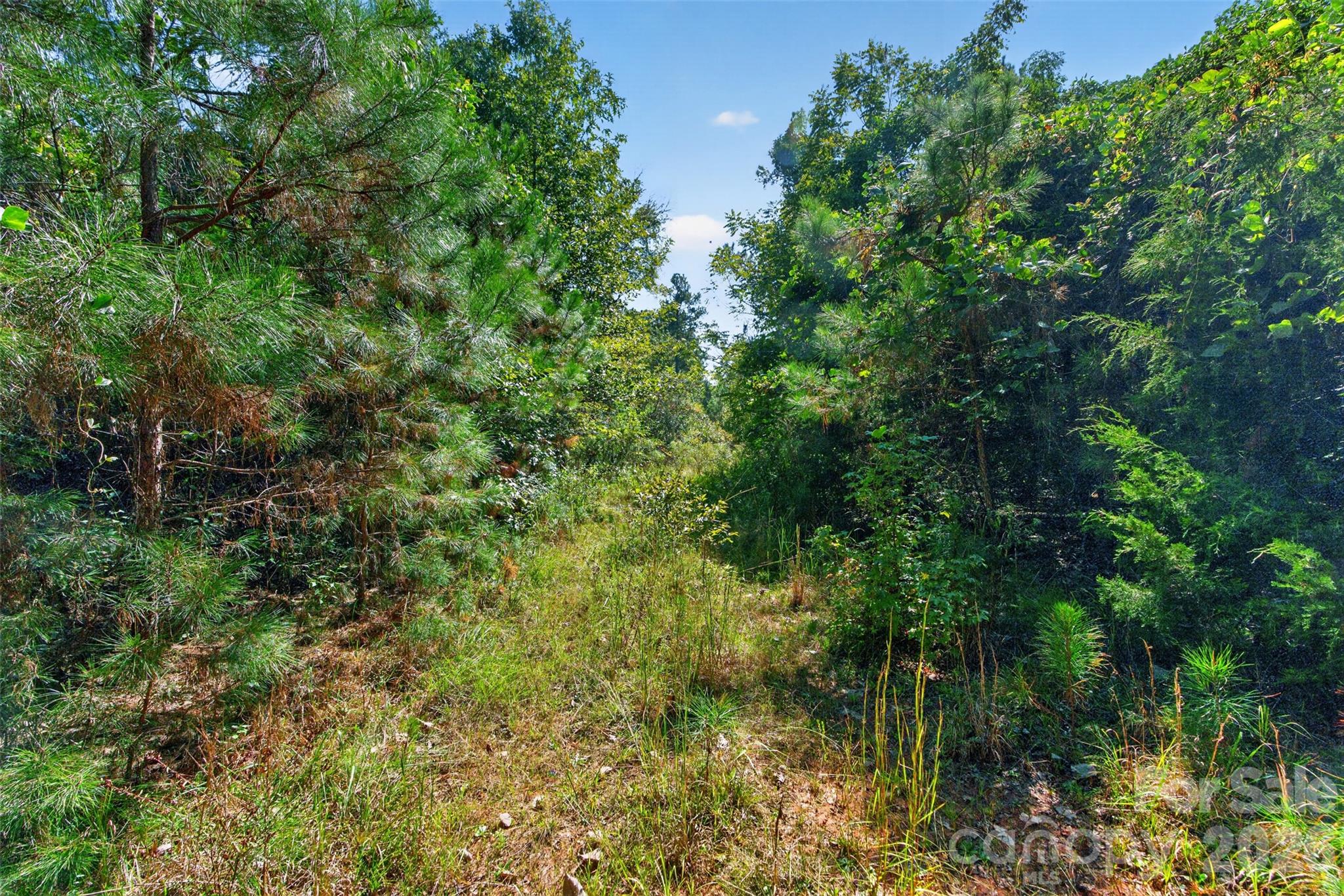 0000 Henderson Road Property Photo 31