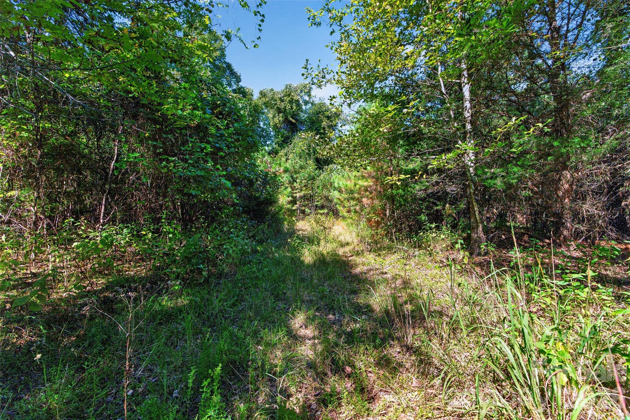 0000 Henderson Road Property Photo 32
