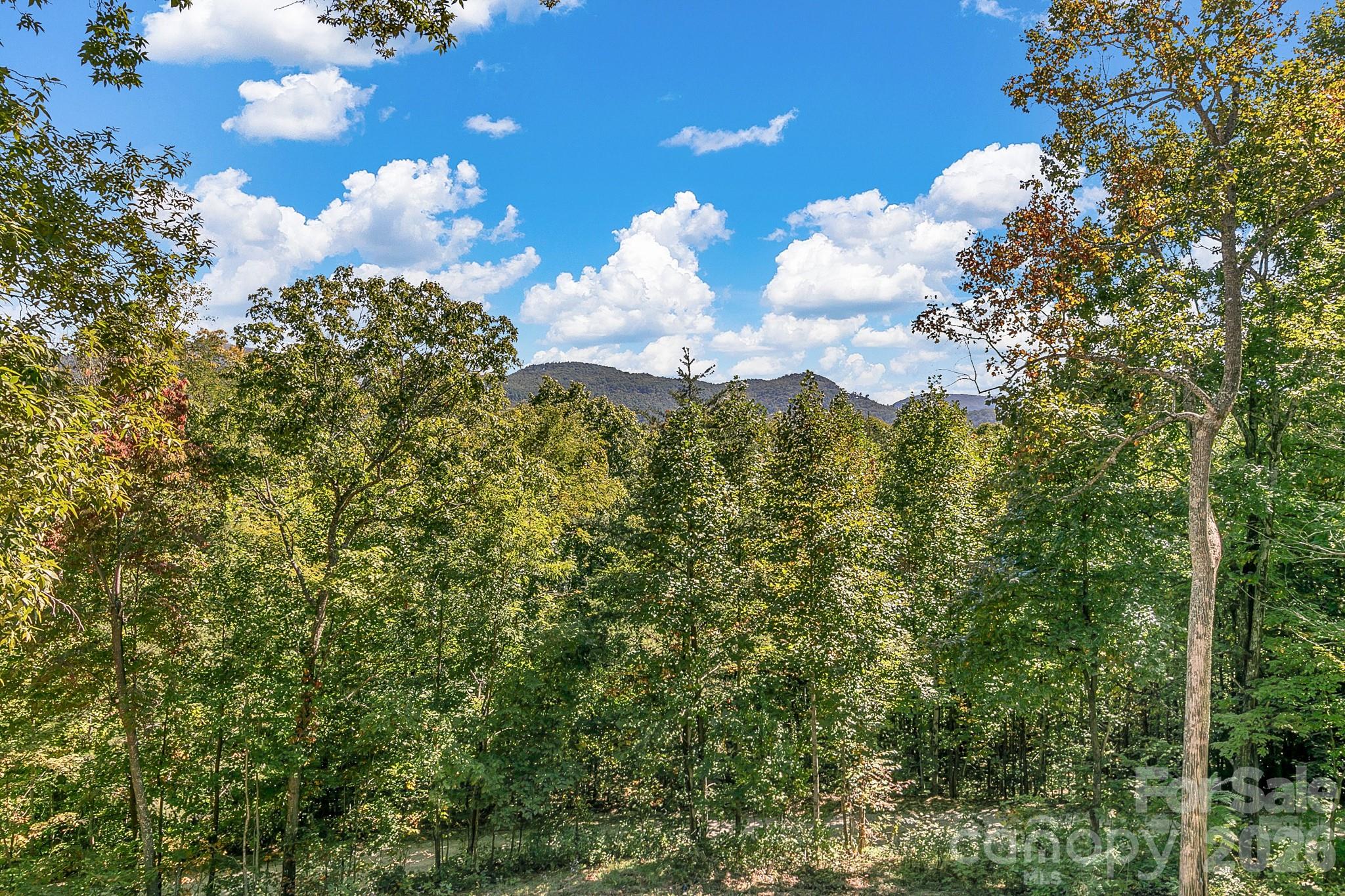 135 Bald Eagle Drive Property Photo 20