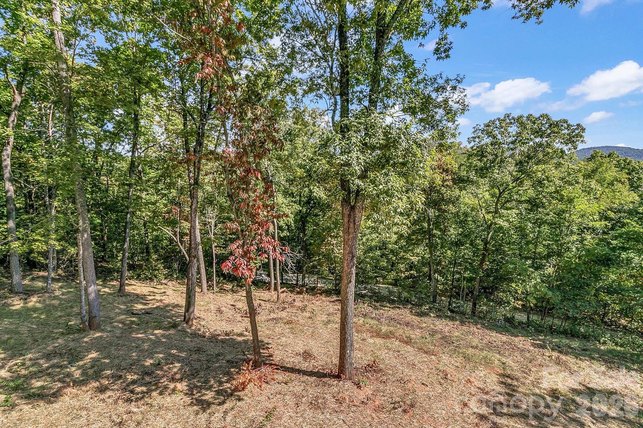 135 Bald Eagle Drive Property Photo 21