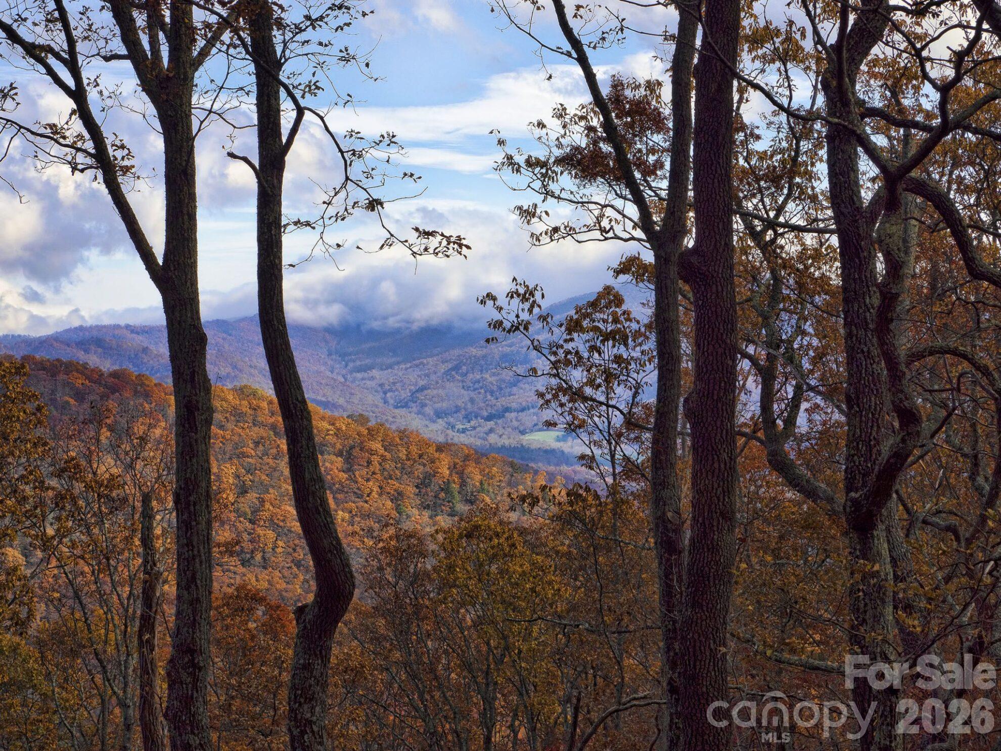 98 Maple Forest Road Property Photo 25