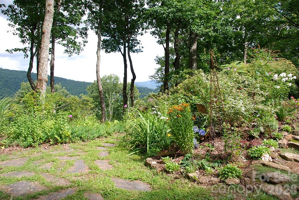 98 Maple Forest Road Property Photo 27
