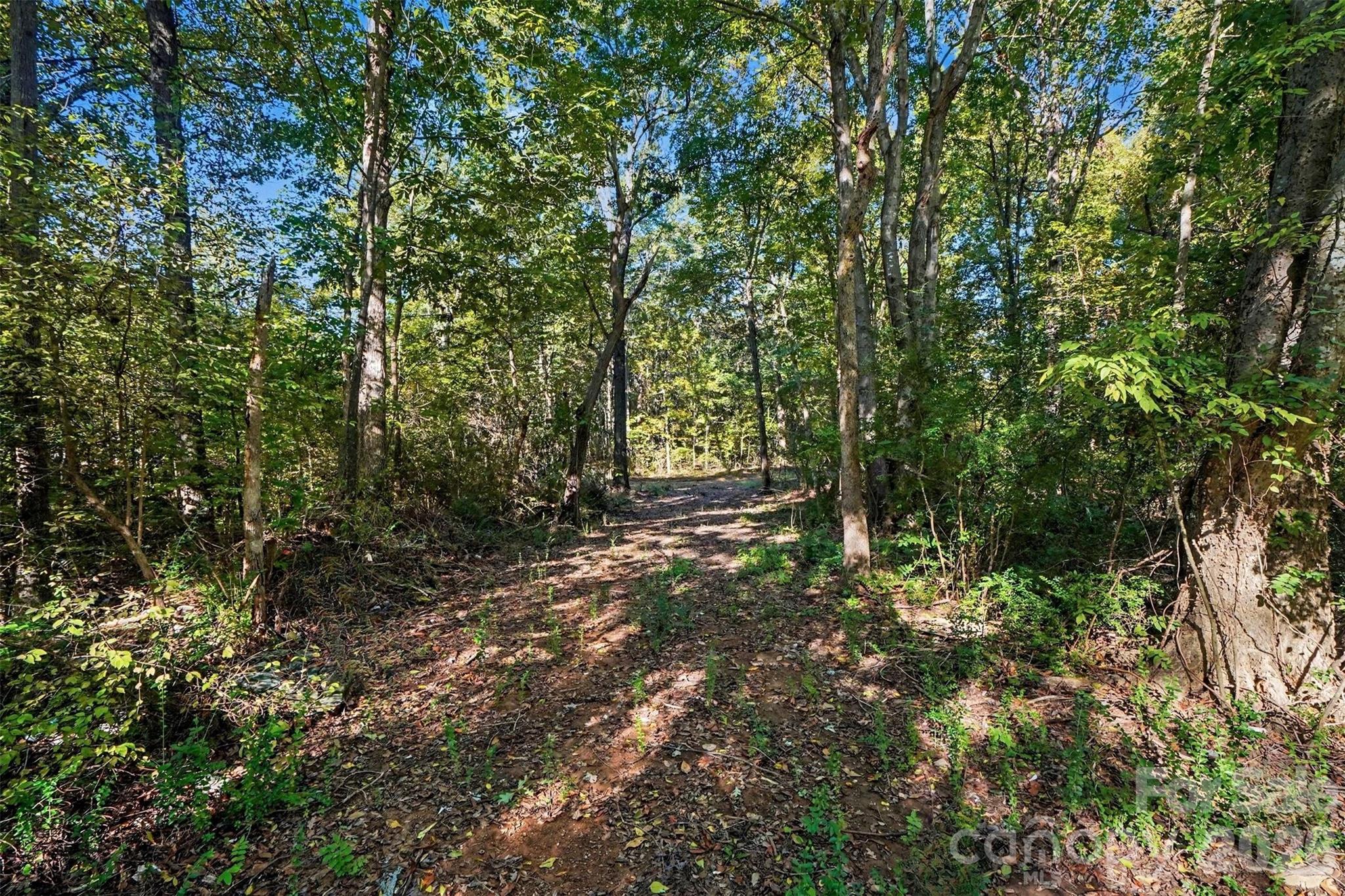 1724 Willis Long Road Property Photo 4