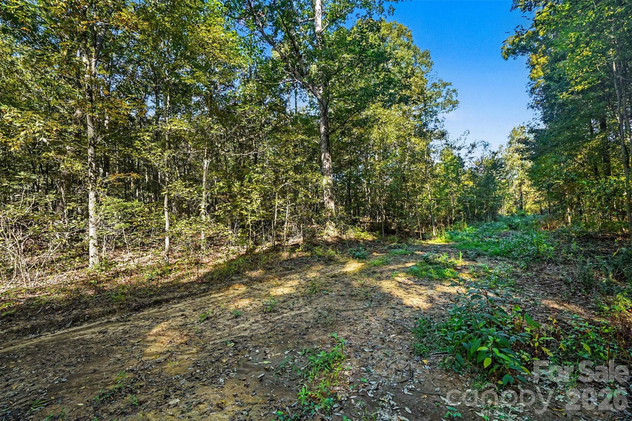 1724 Willis Long Road Property Photo 5