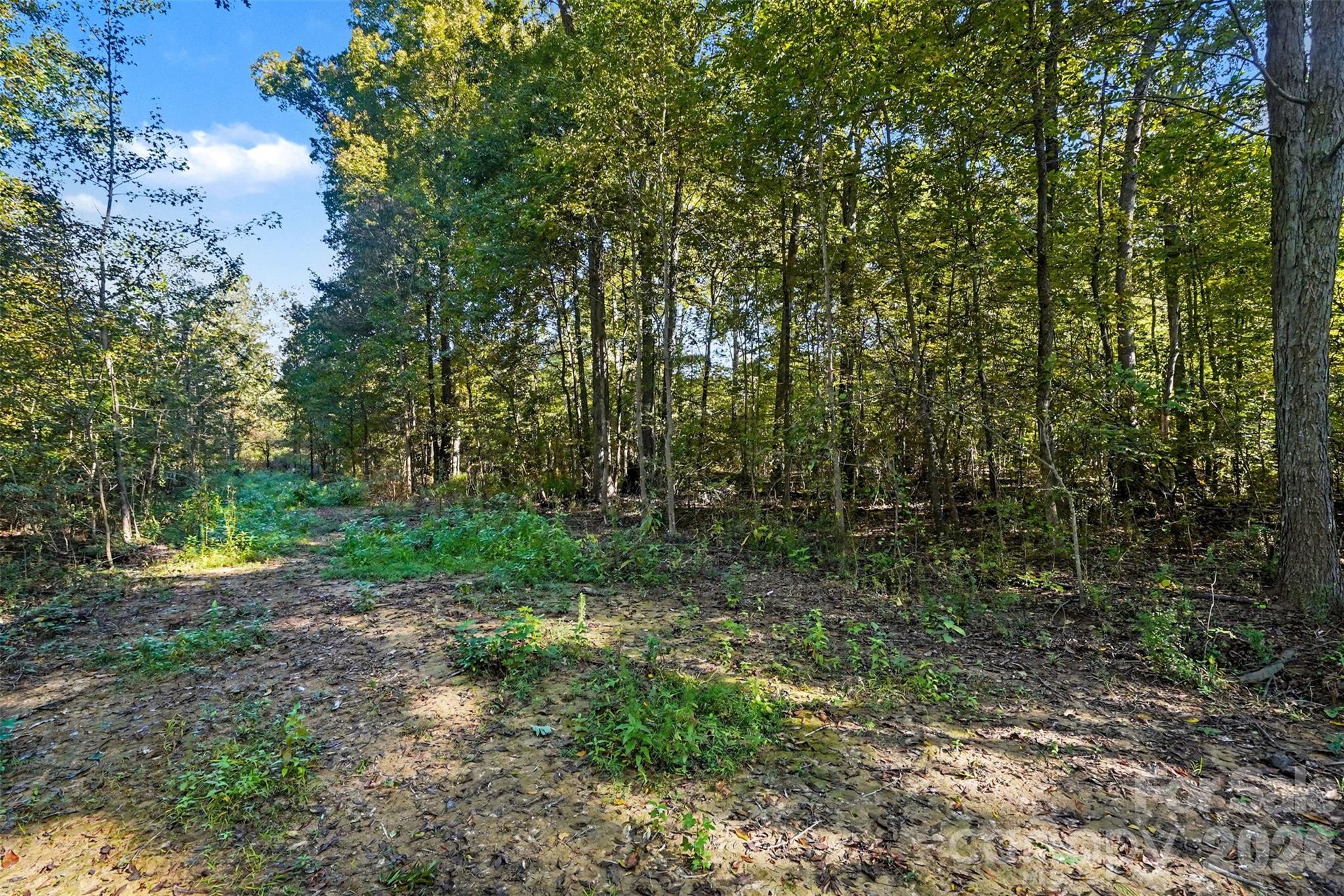 1724 Willis Long Road Property Photo 6
