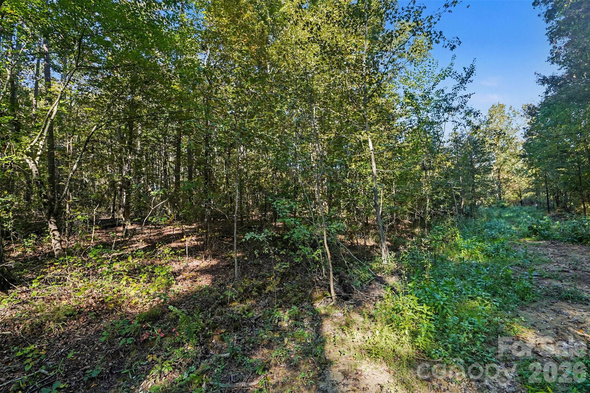 1724 Willis Long Road Property Photo 7