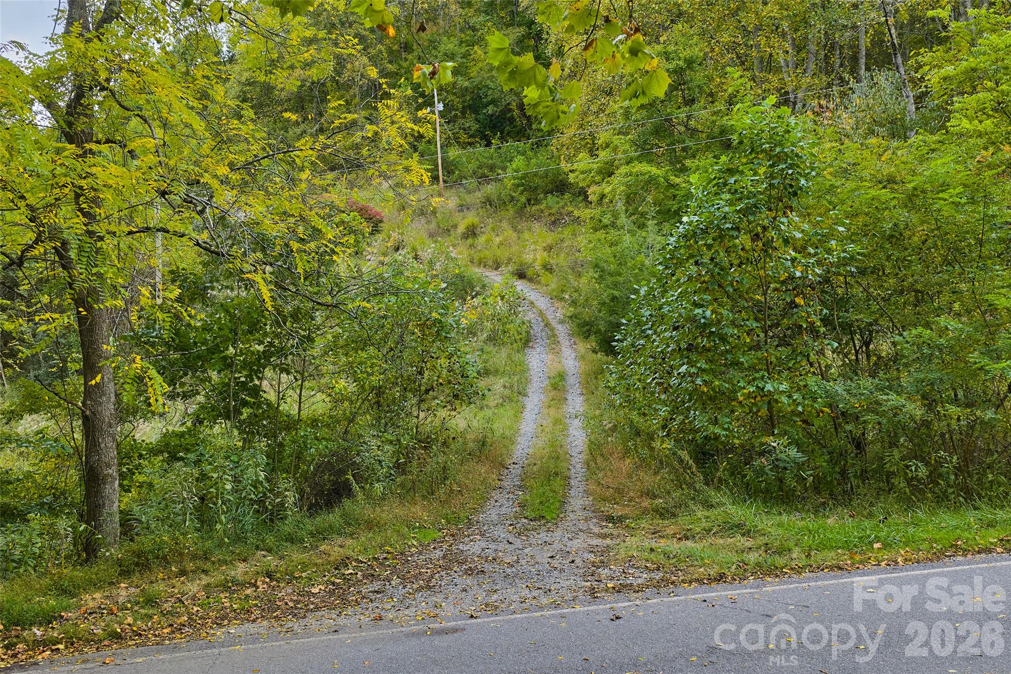 348 Chandler Creek Road Property Photo 2
