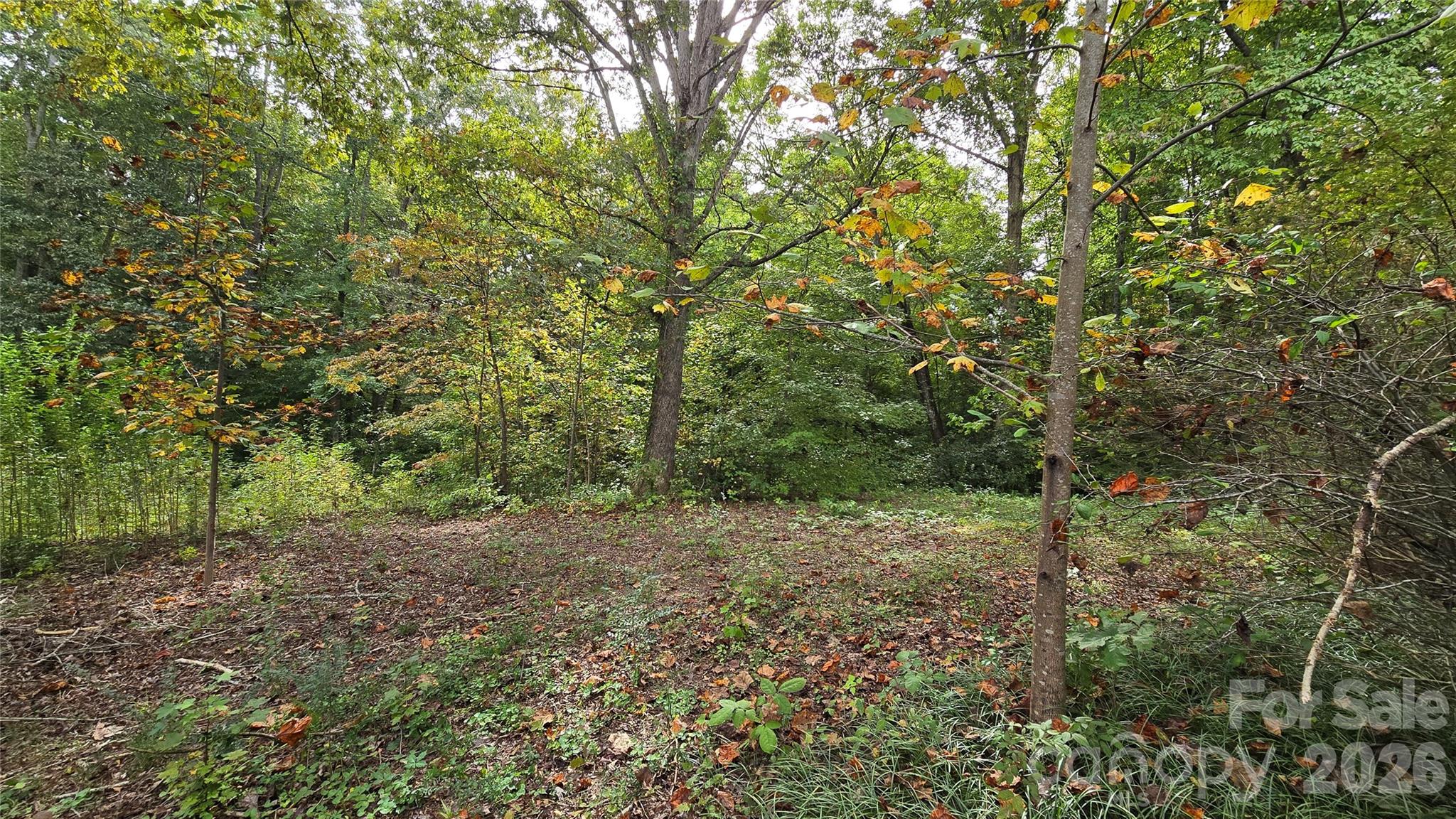 330 Brook Circle Property Photo 15