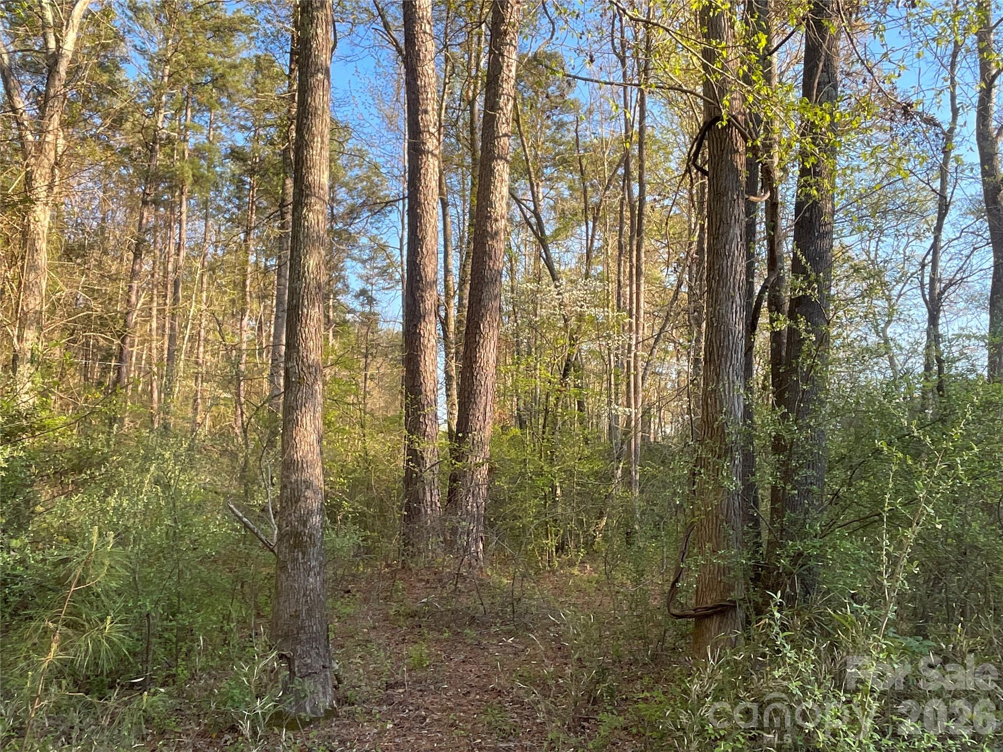 161 Little River Trail 1 Property Photo 1