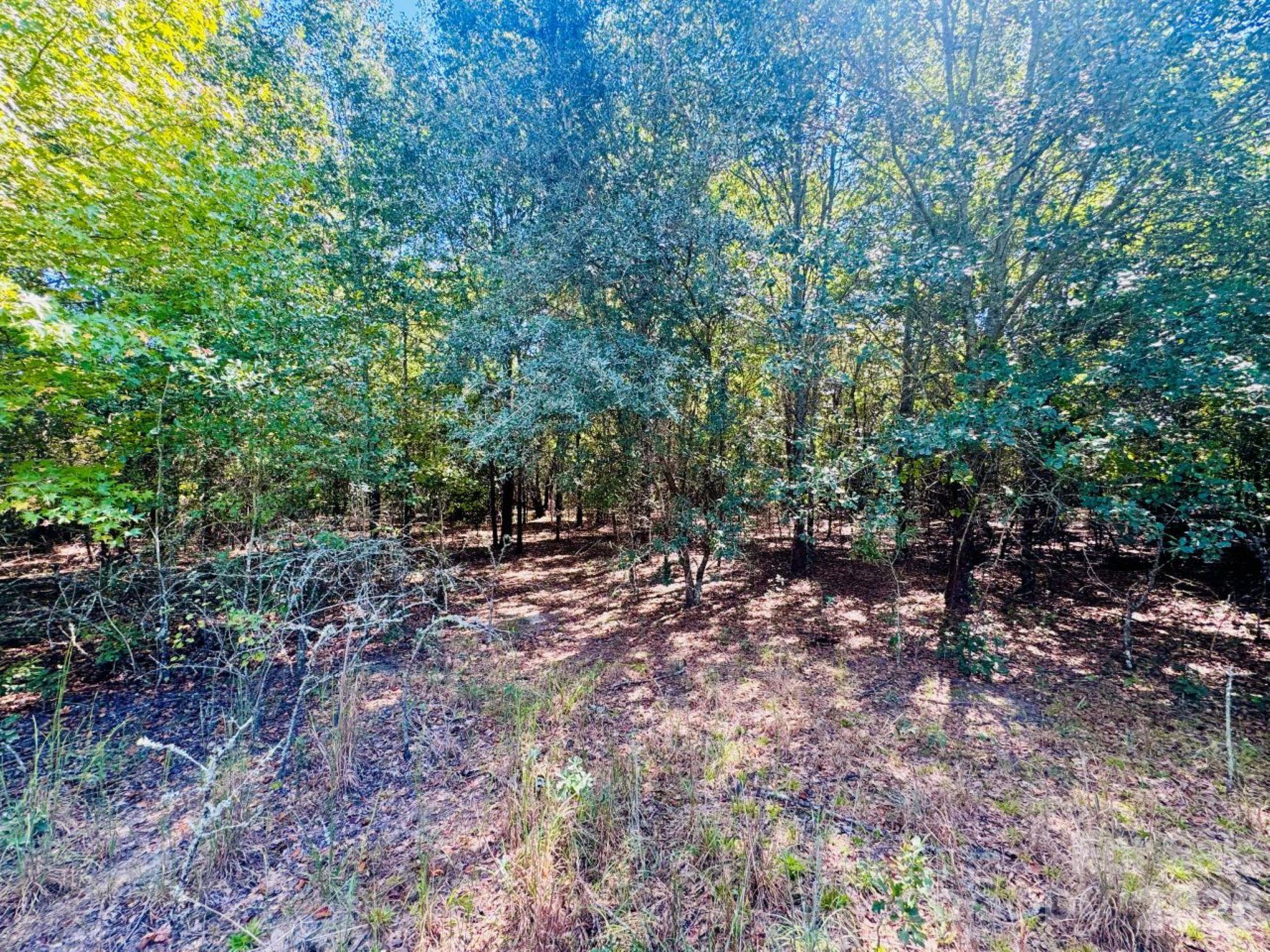 Lot 167 Brangus Lane Property Photo 1