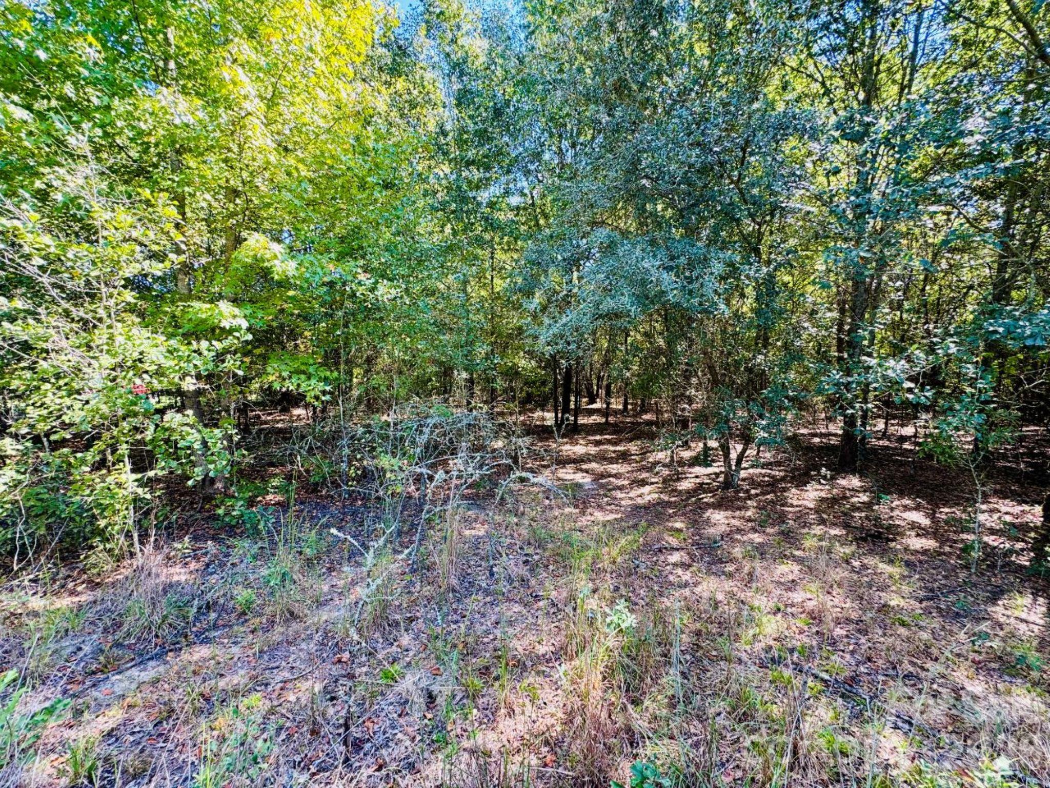 Lot 167 Brangus Lane Property Photo 3