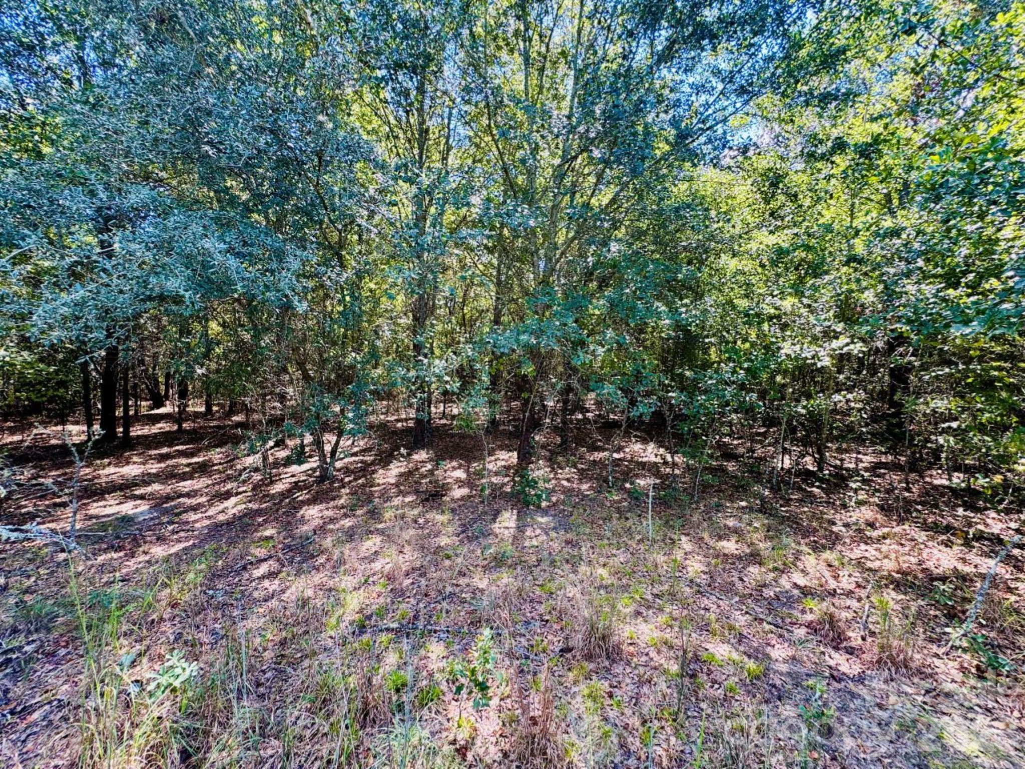 Lot 166 Brangus Lane Property Photo 2