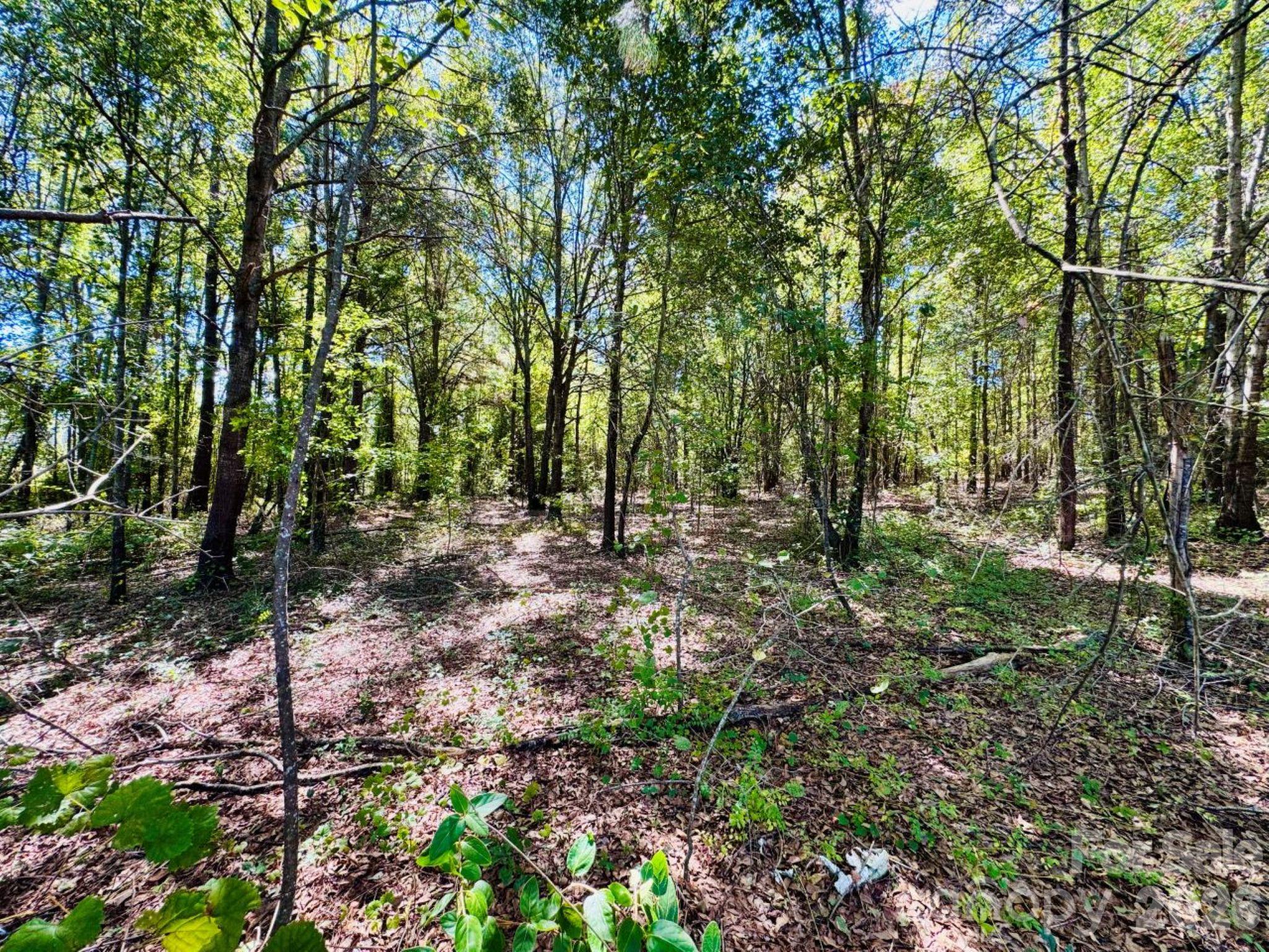 Lot 166 Brangus Lane Property Photo 5