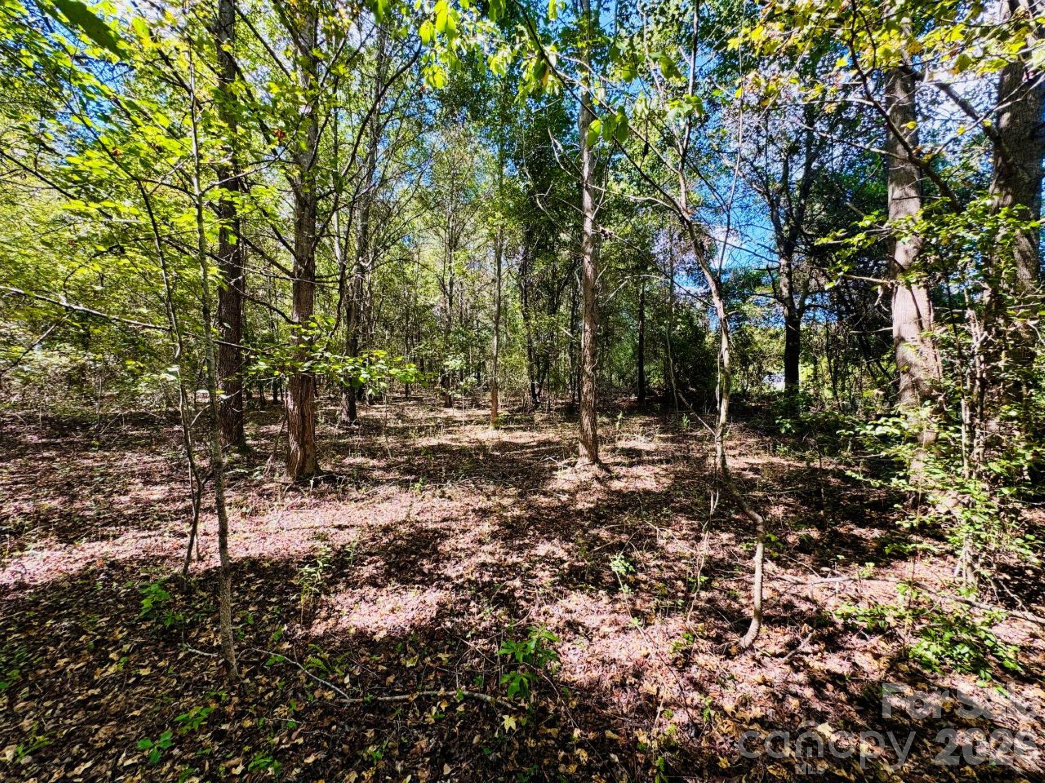 Lot 166 Brangus Lane Property Photo 6