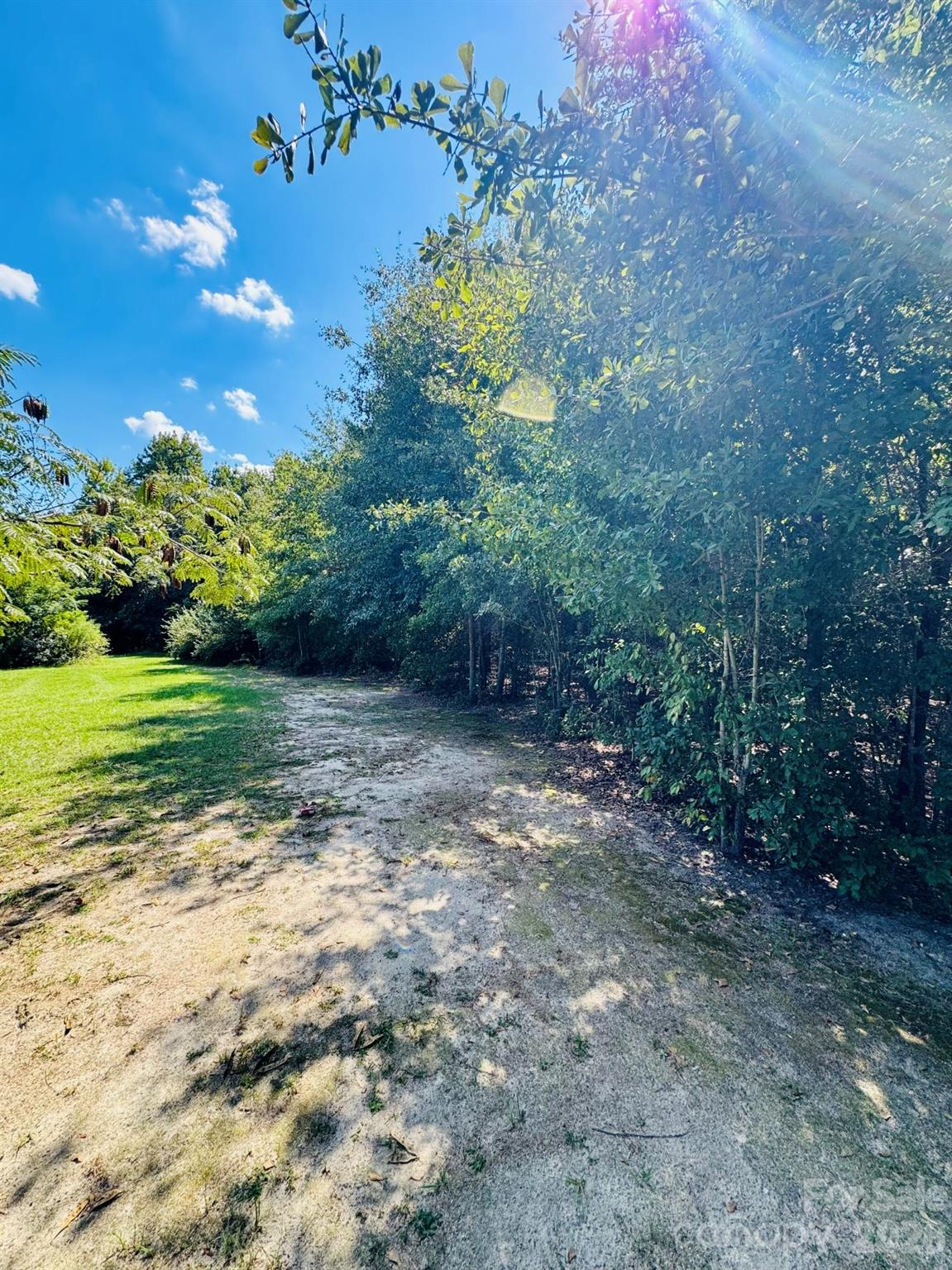 Lot 166 Brangus Lane Property Photo 7