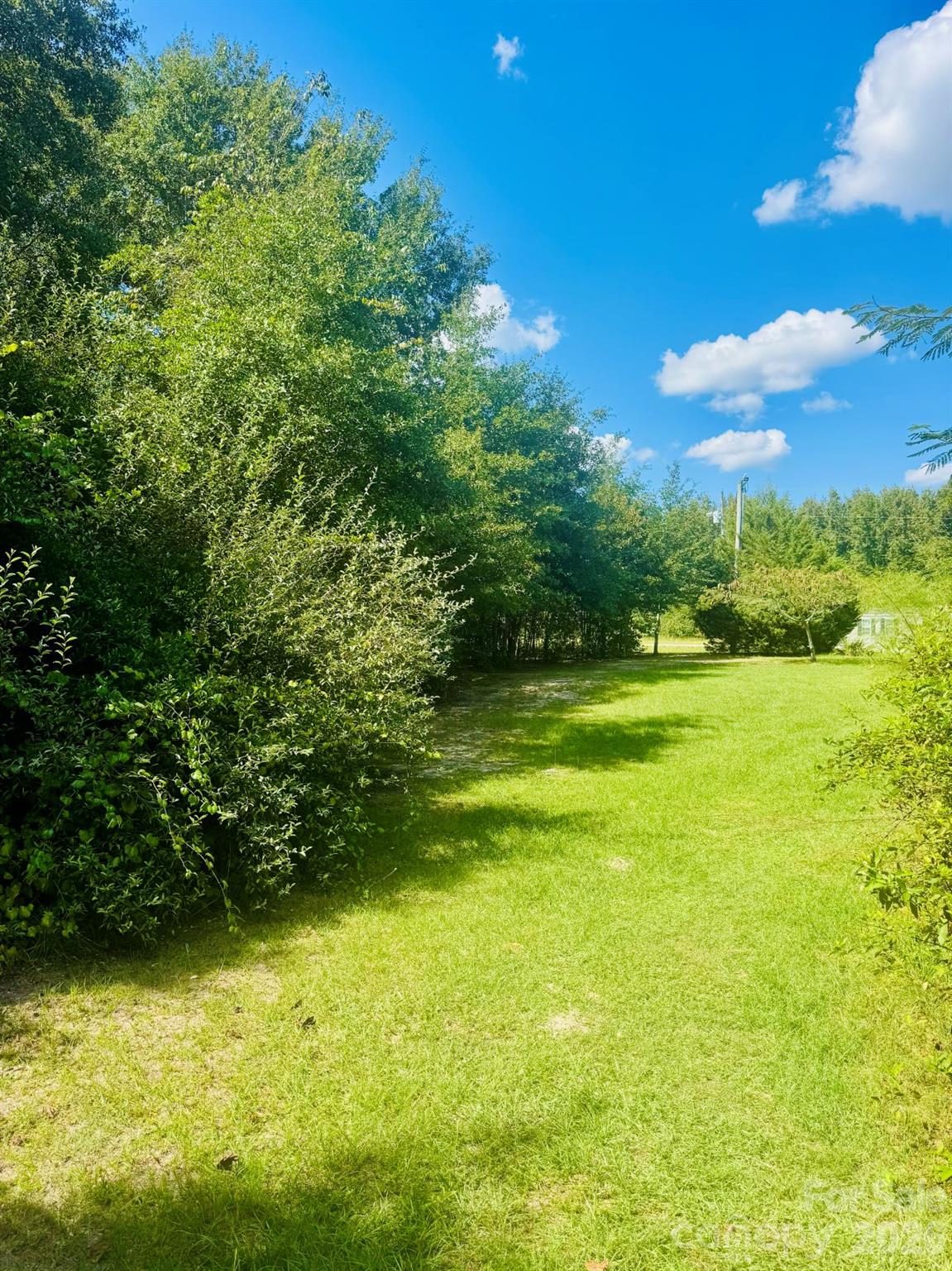 Lot 166 Brangus Lane Property Photo 8