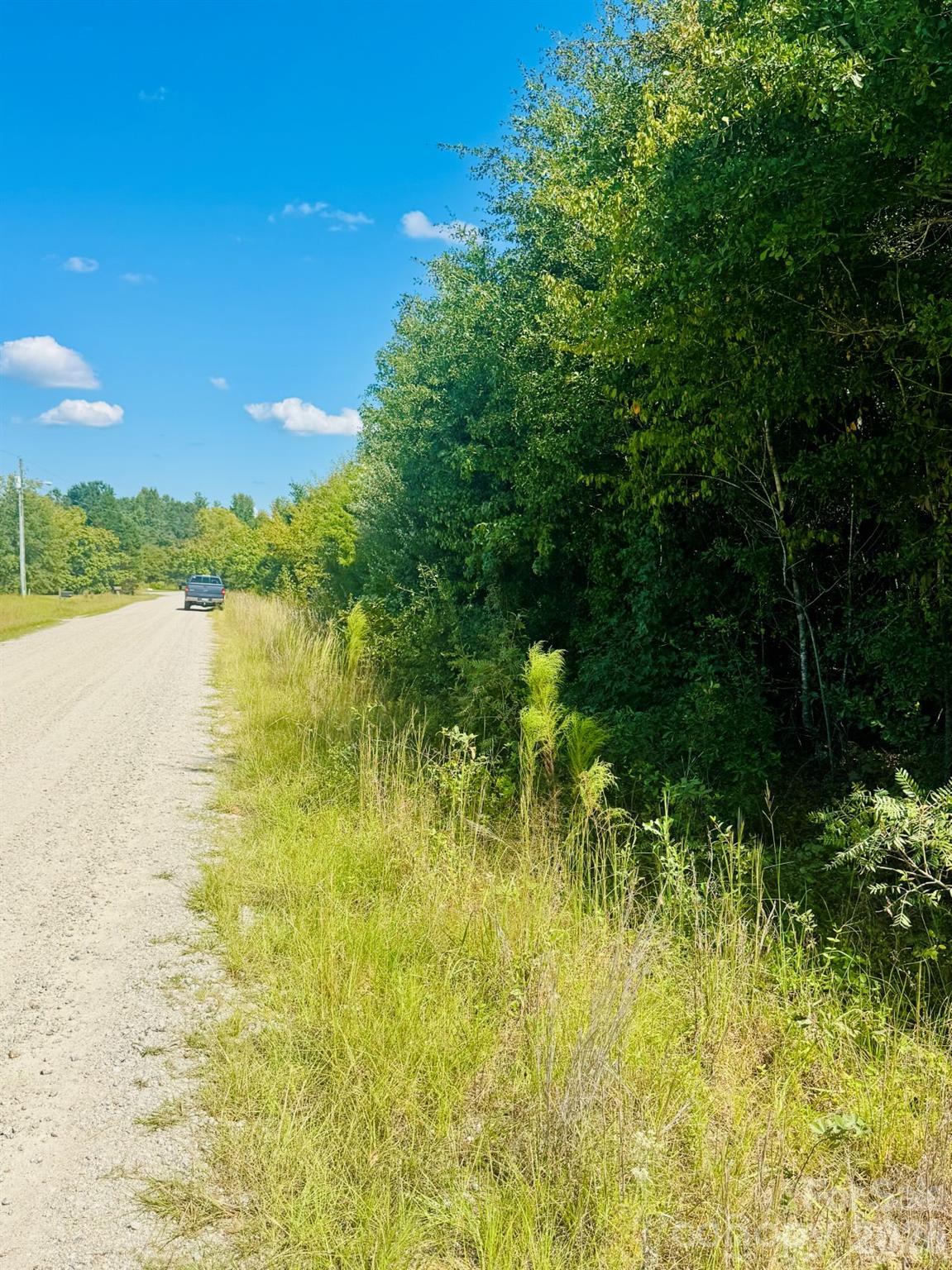 Lot 166 Brangus Lane Property Photo 9