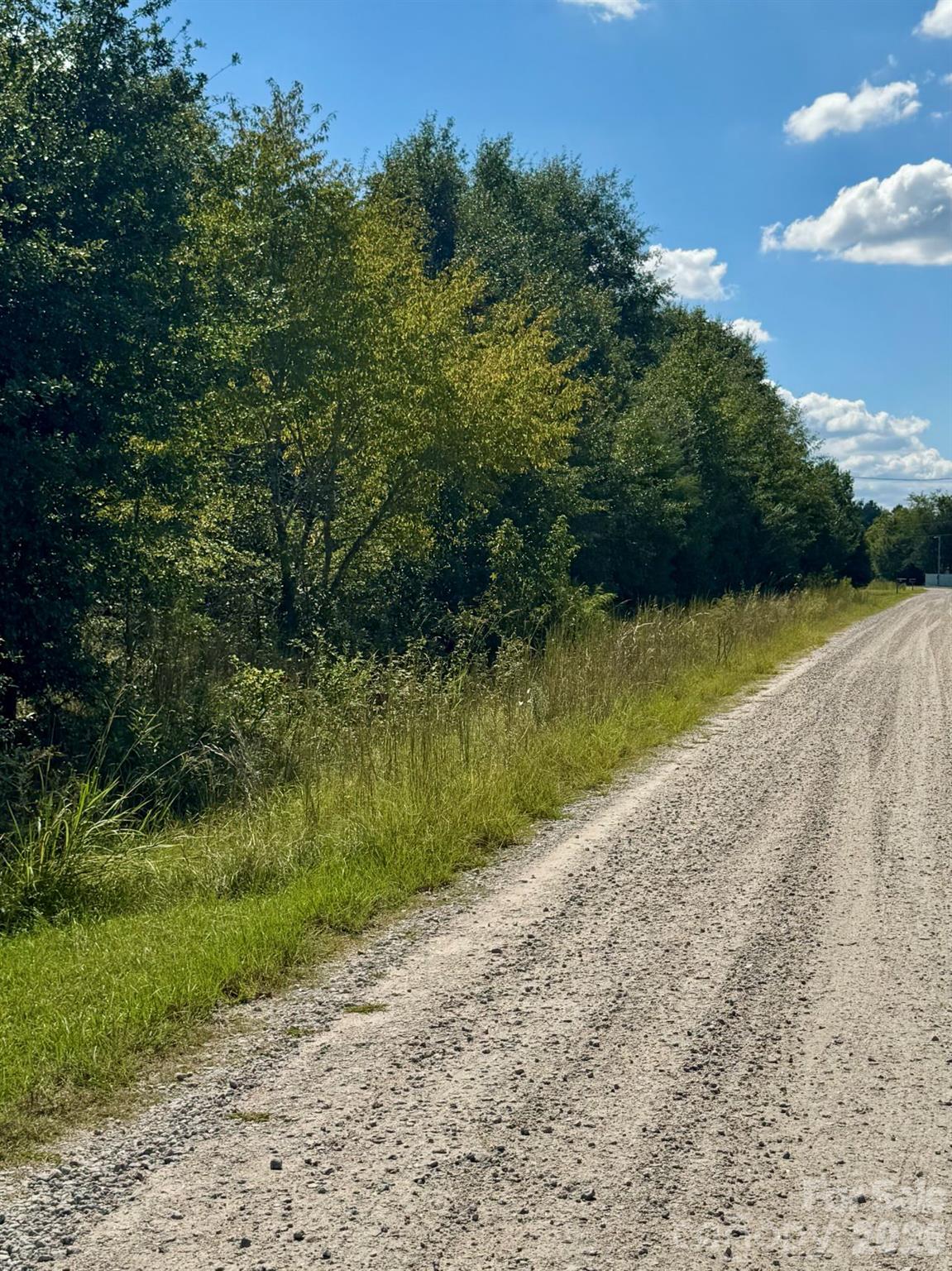 Lot 166 Brangus Lane Property Photo 10