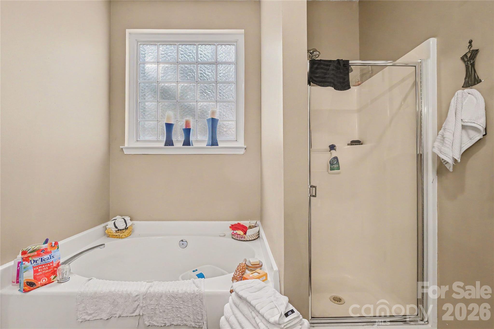 8030 Shiny Meadow Drive Property Photo 22