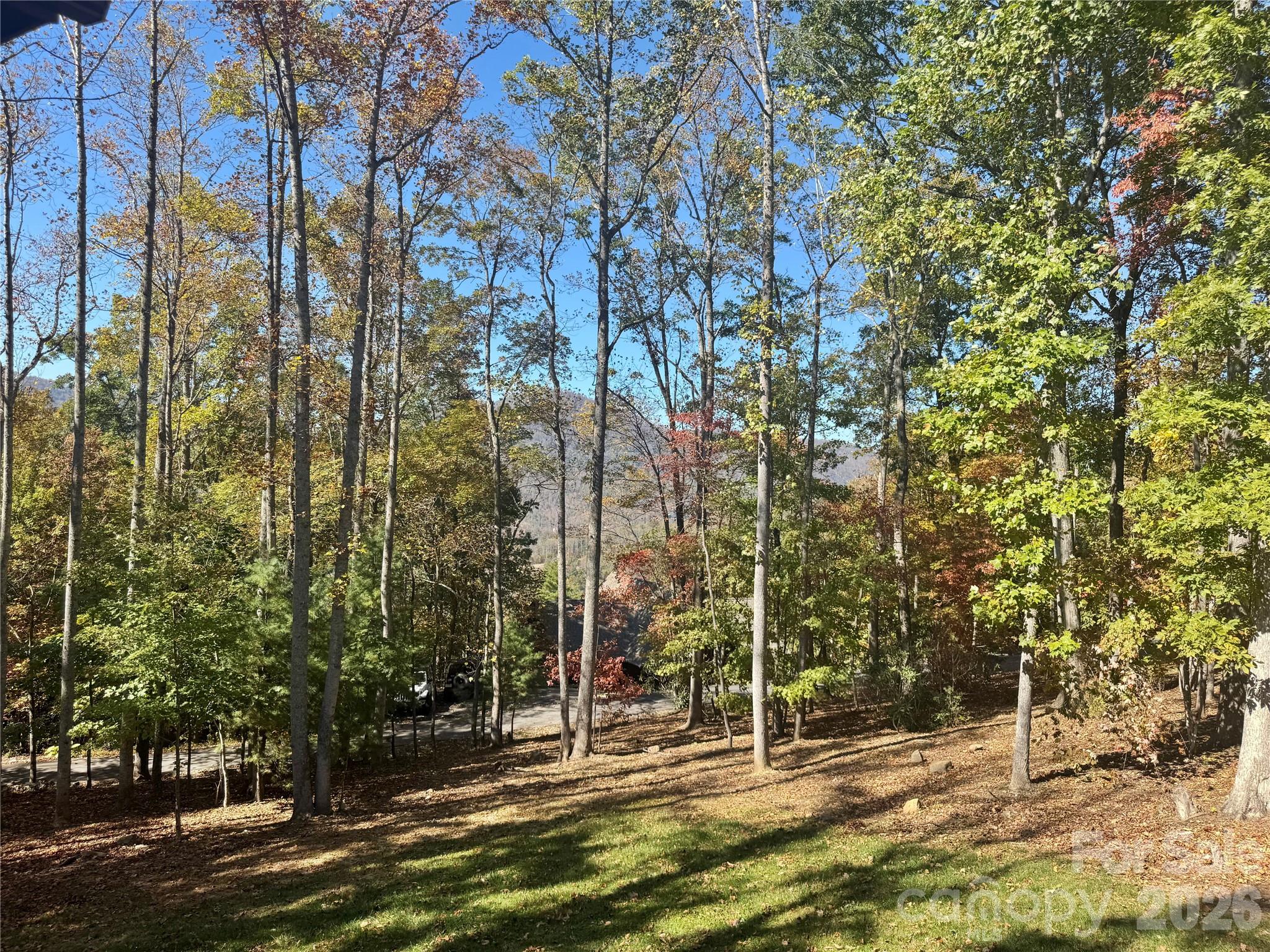 501 Sugar Maple Lane Property Photo 2