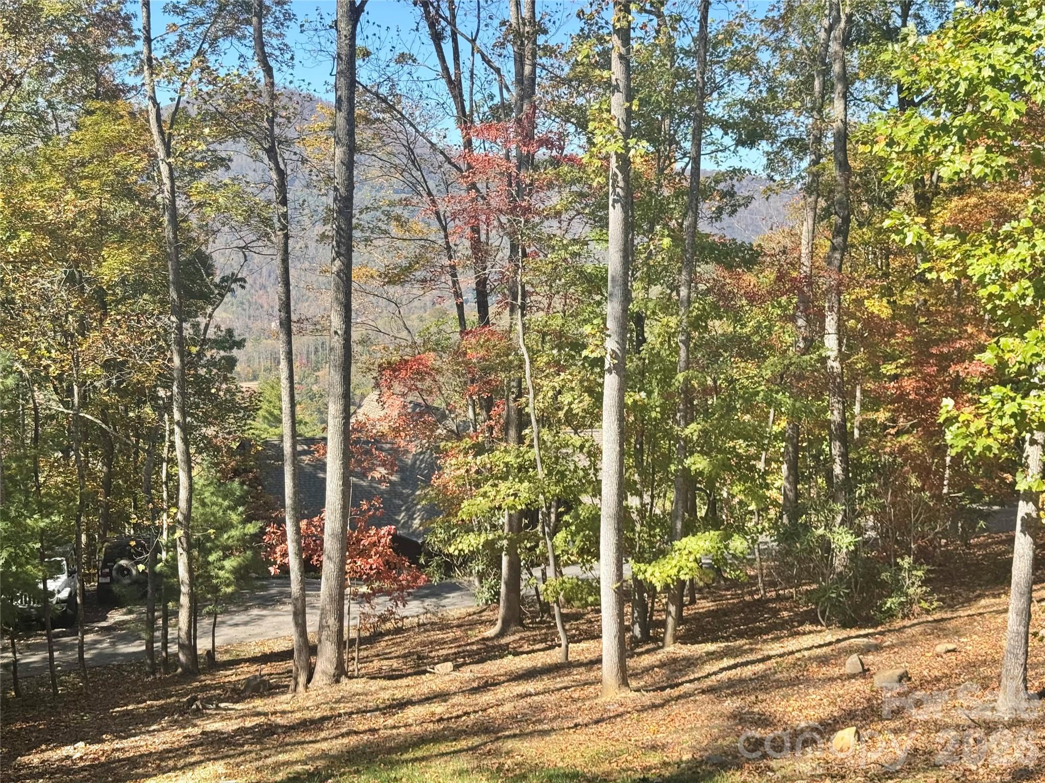 501 Sugar Maple Lane Property Photo 5