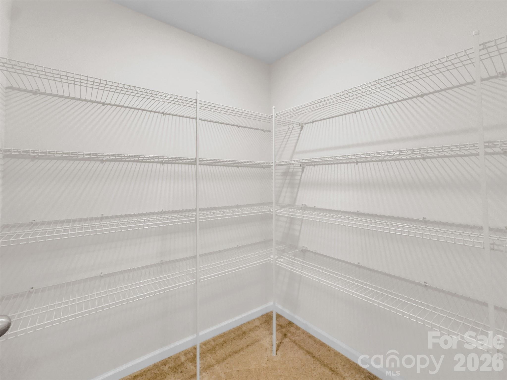 2045 Saddlebred Drive Property Photo 31