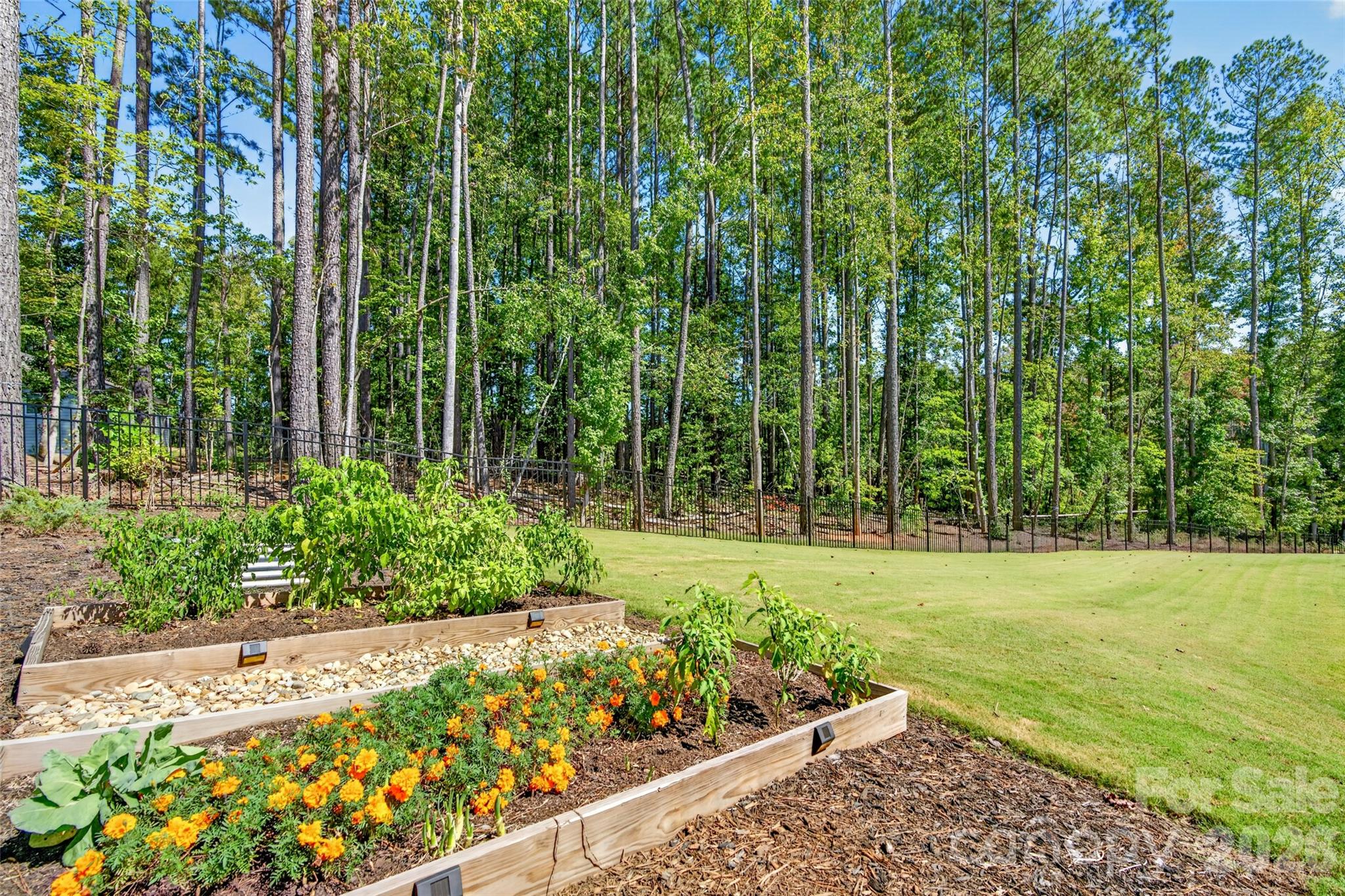 113 Vaughn Court Property Photo 40