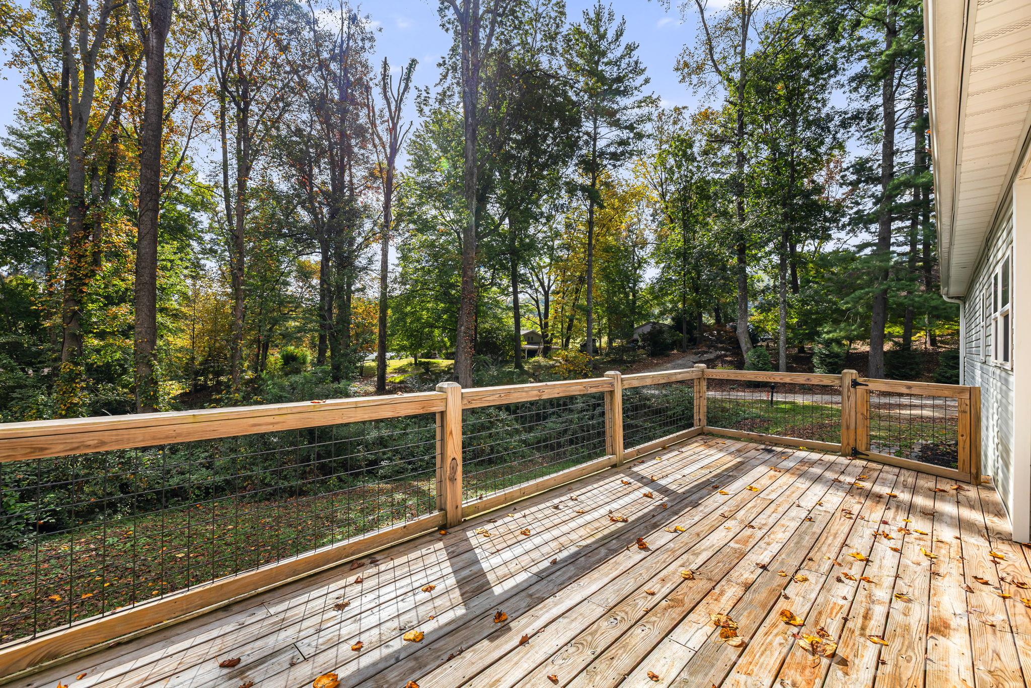 17 Berry Hill Road Property Photo 37
