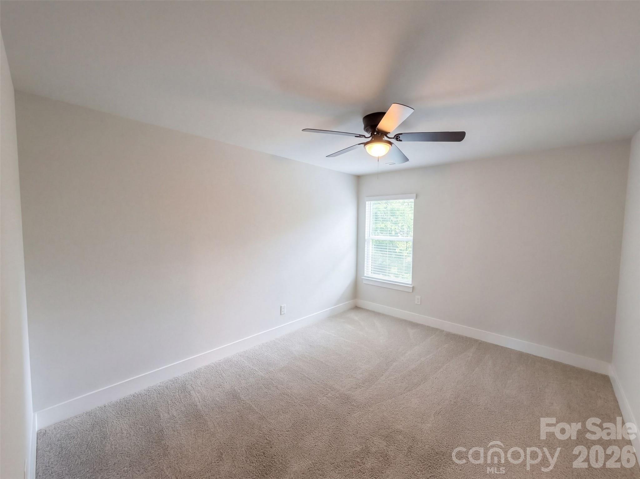 7412 Canova Lane Property Photo 20