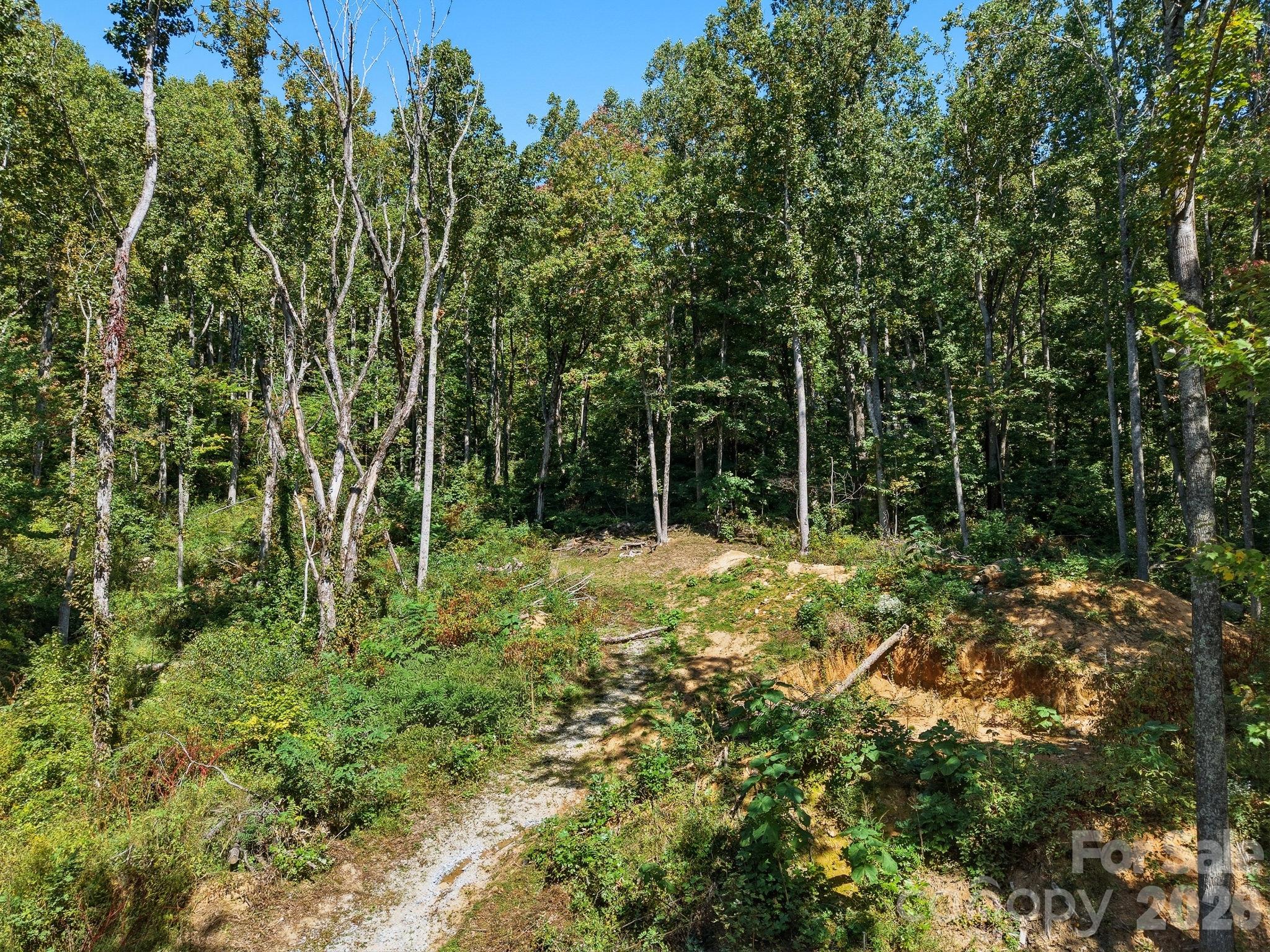 6 Pioneer Lane Property Photo 6
