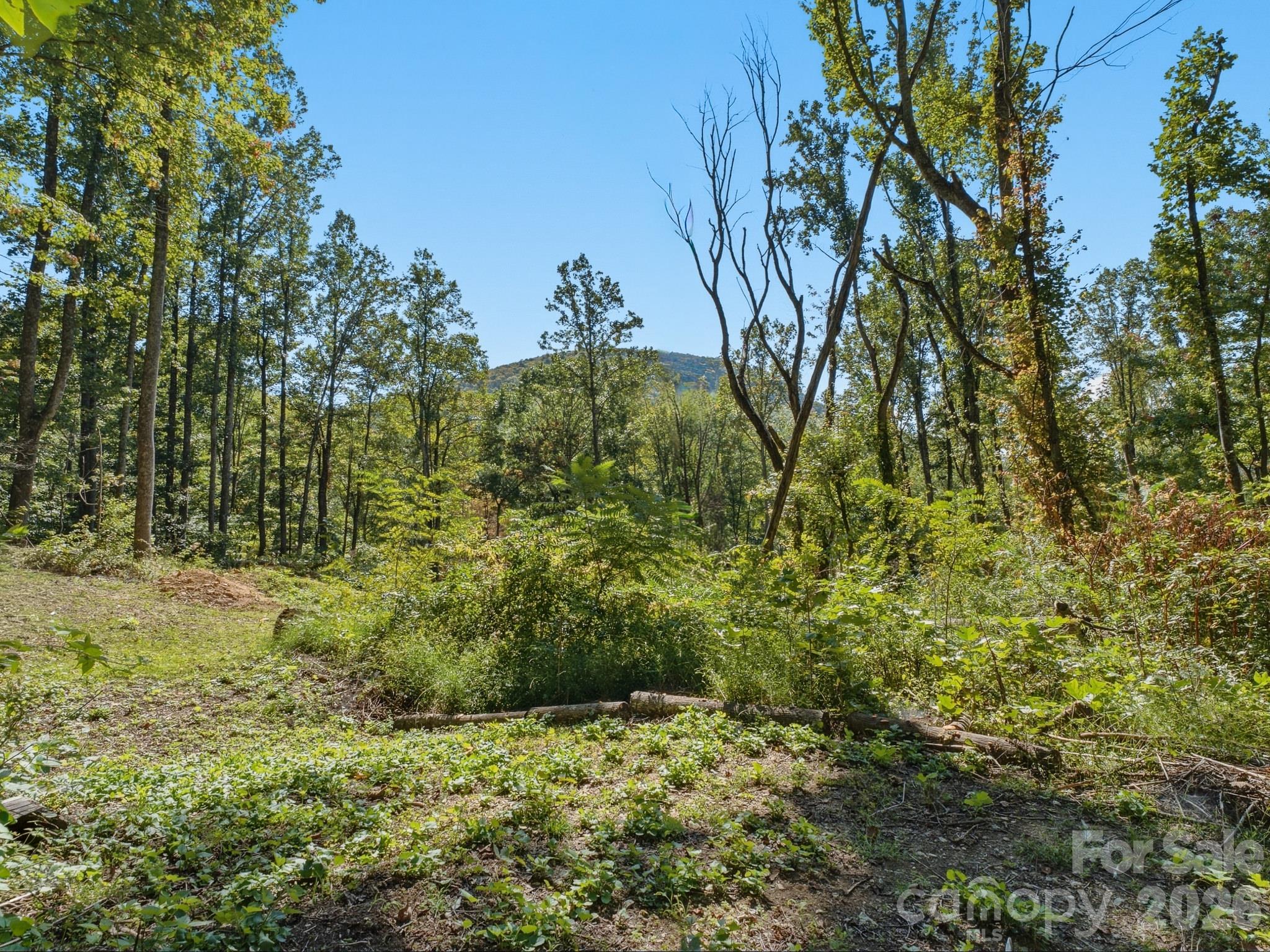 6 Pioneer Lane Property Photo 22