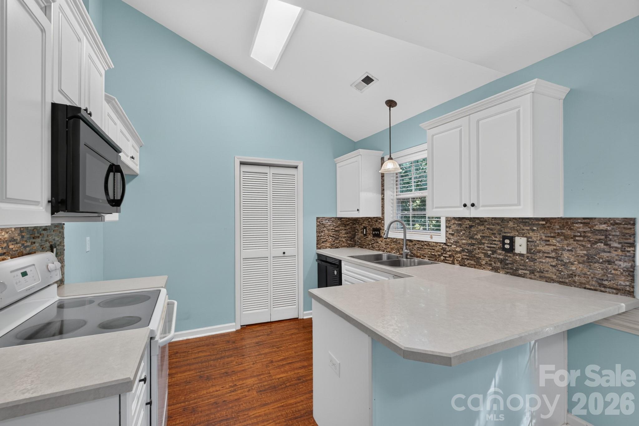 702 Painted Lady Court Property Photo 16