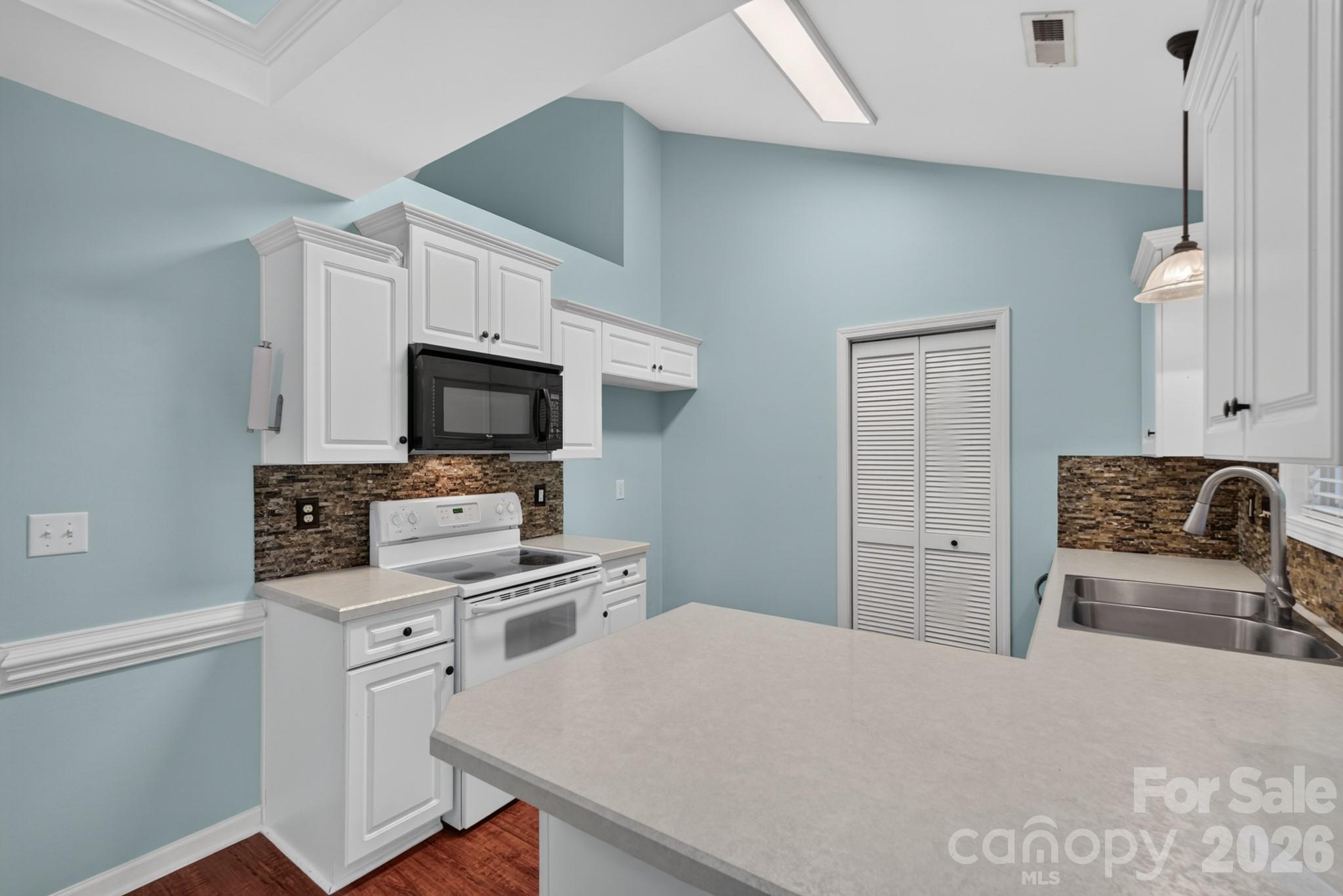 702 Painted Lady Court Property Photo 17