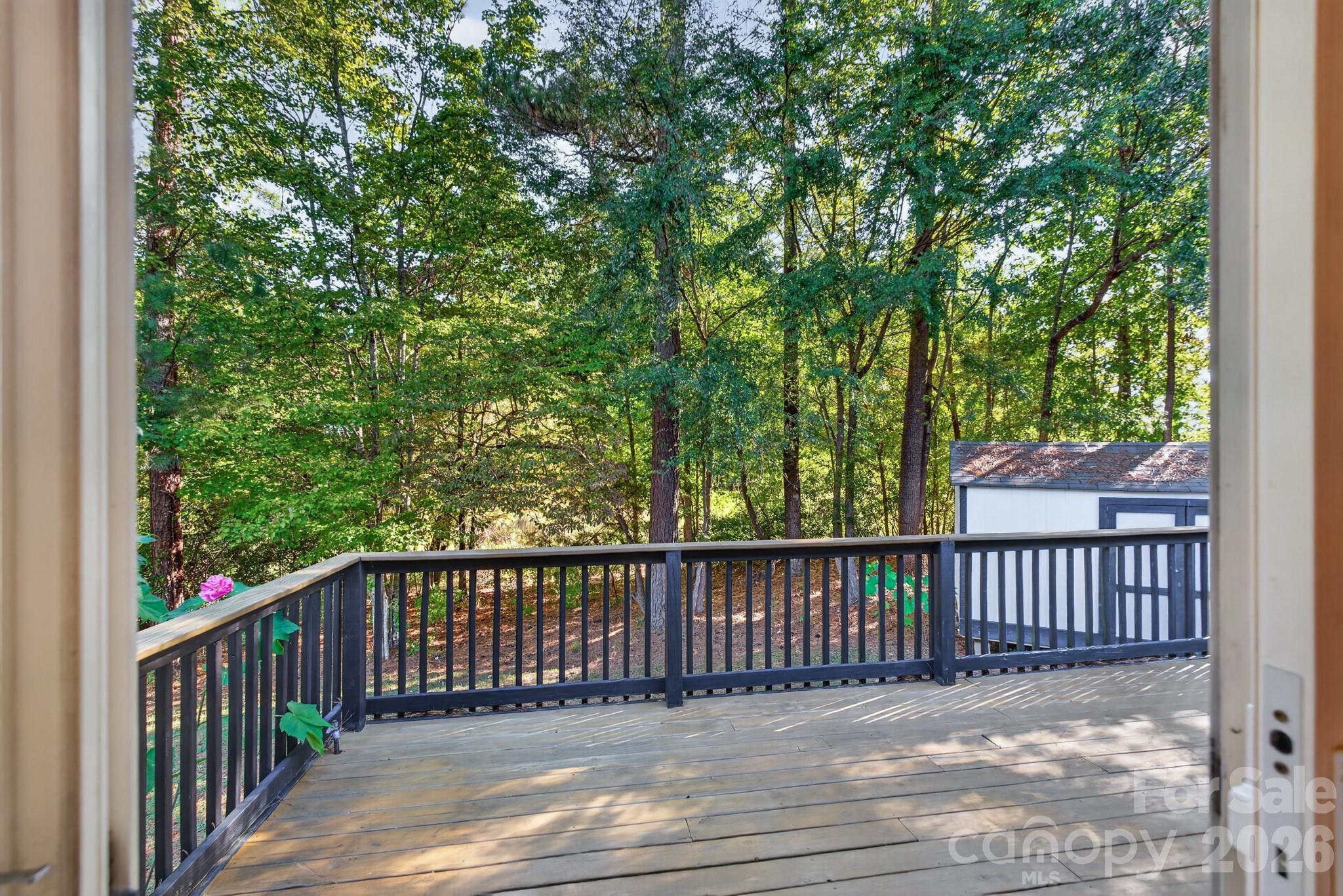 702 Painted Lady Court Property Photo 37