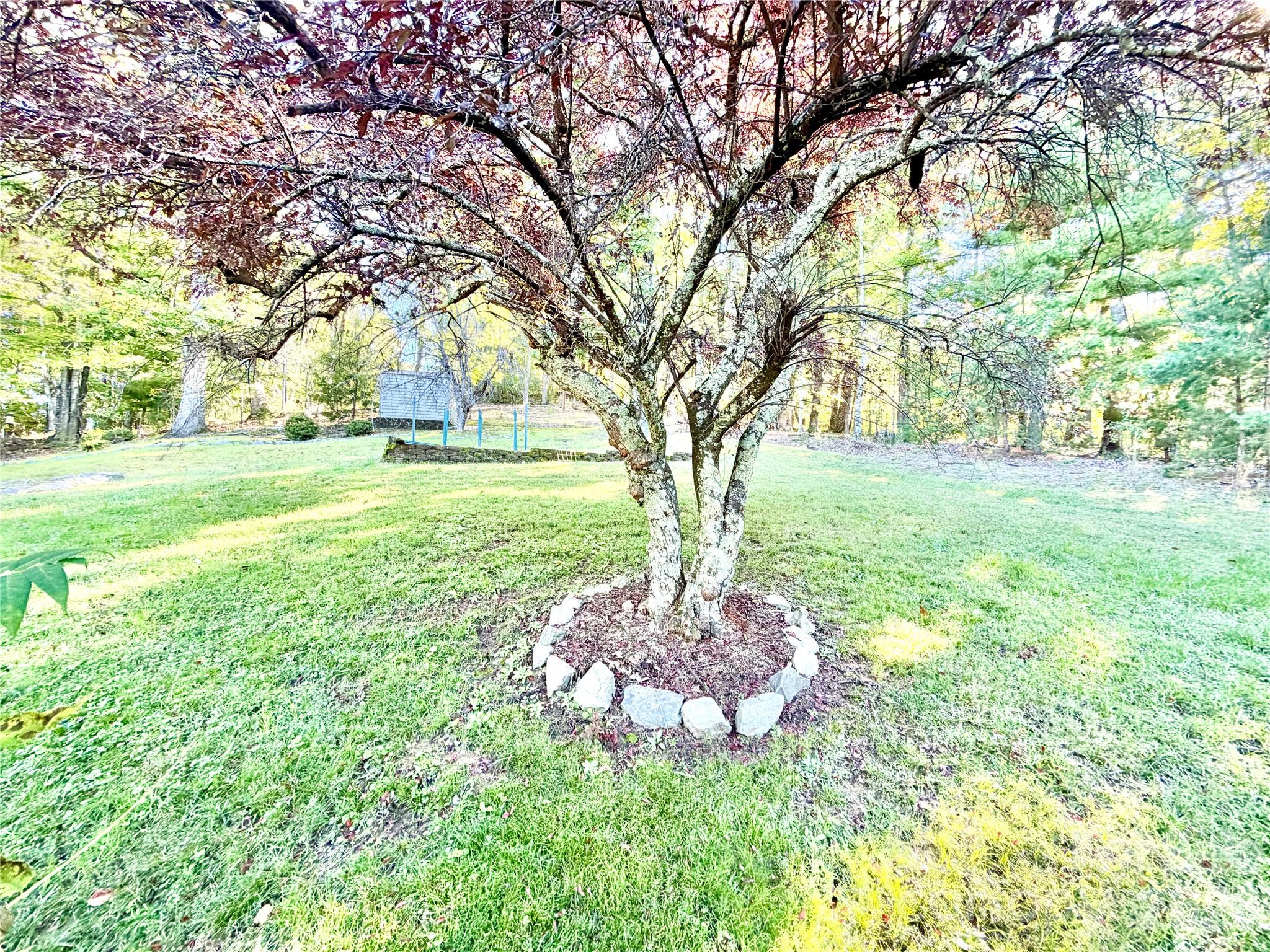 1364 Lithia Springs Road Property Photo 39
