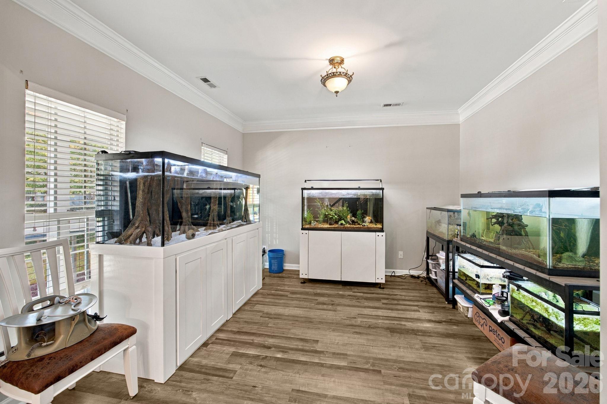 6730 Reedy Creek Road Property Photo 5
