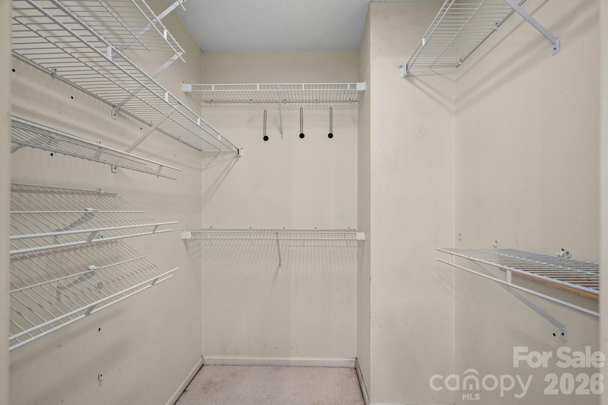 12424 Cool Mist Lane Property Photo 15
