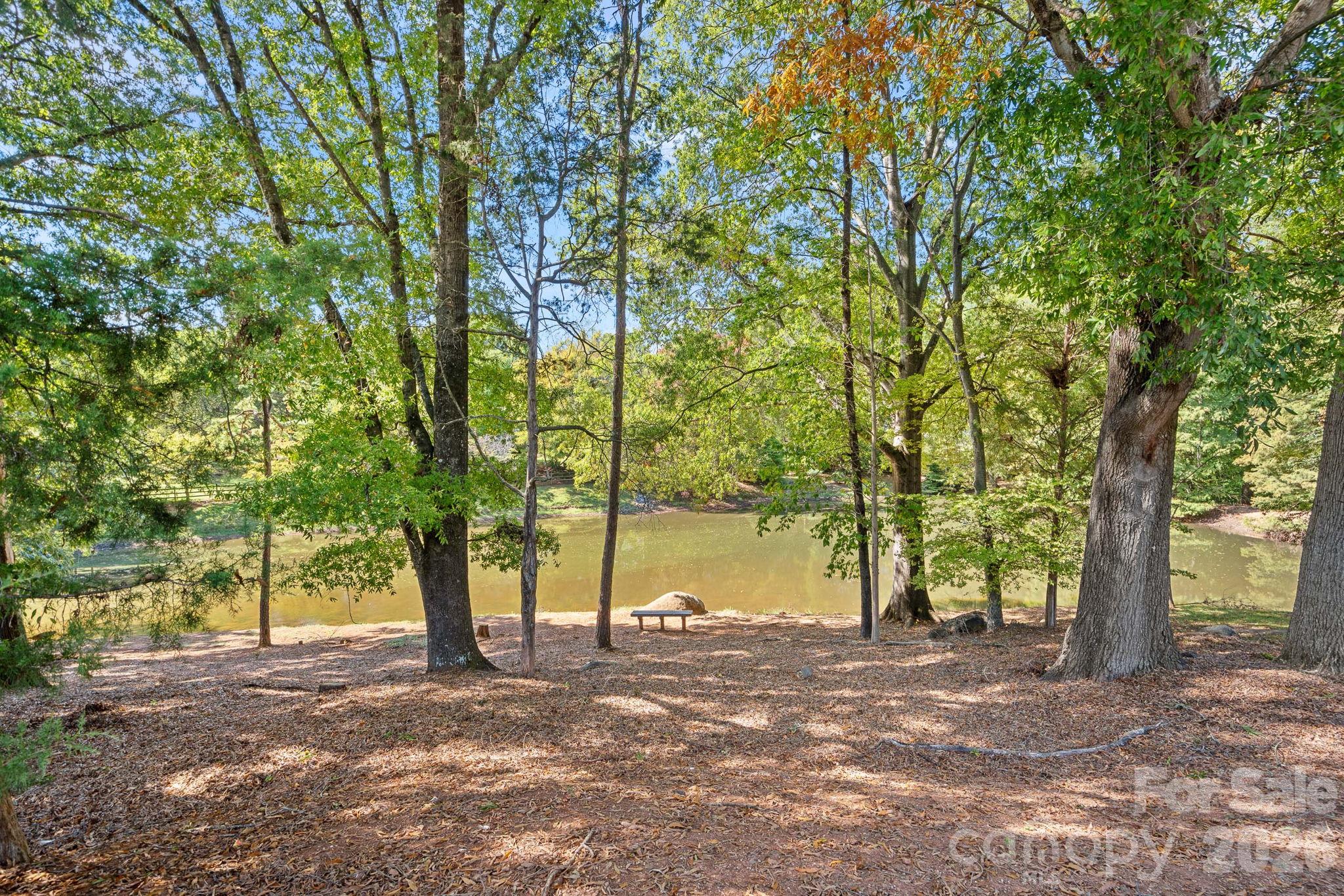 12424 Cool Mist Lane Property Photo 31