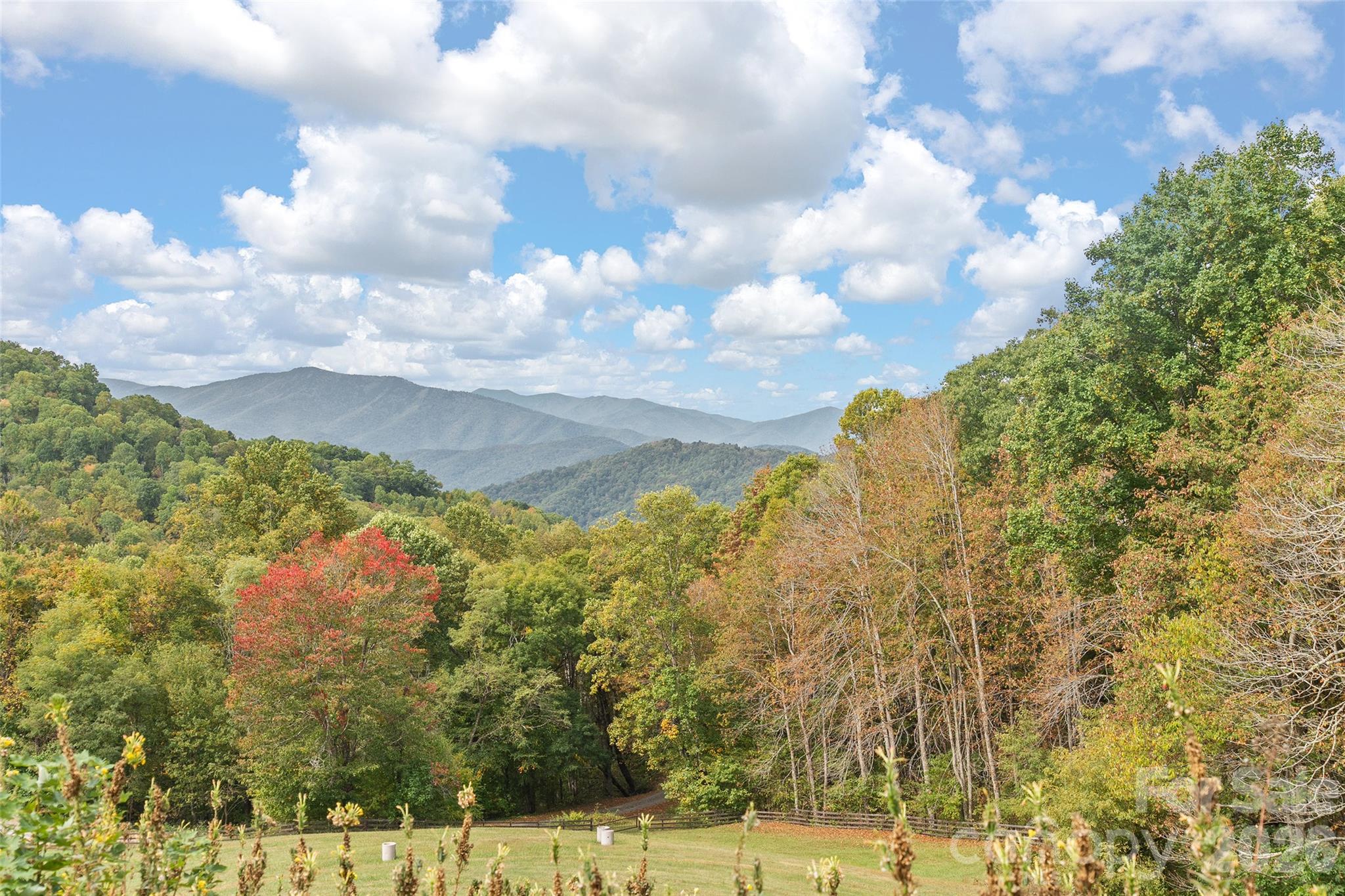 45 Smoke Vine Trail Property Photo 10