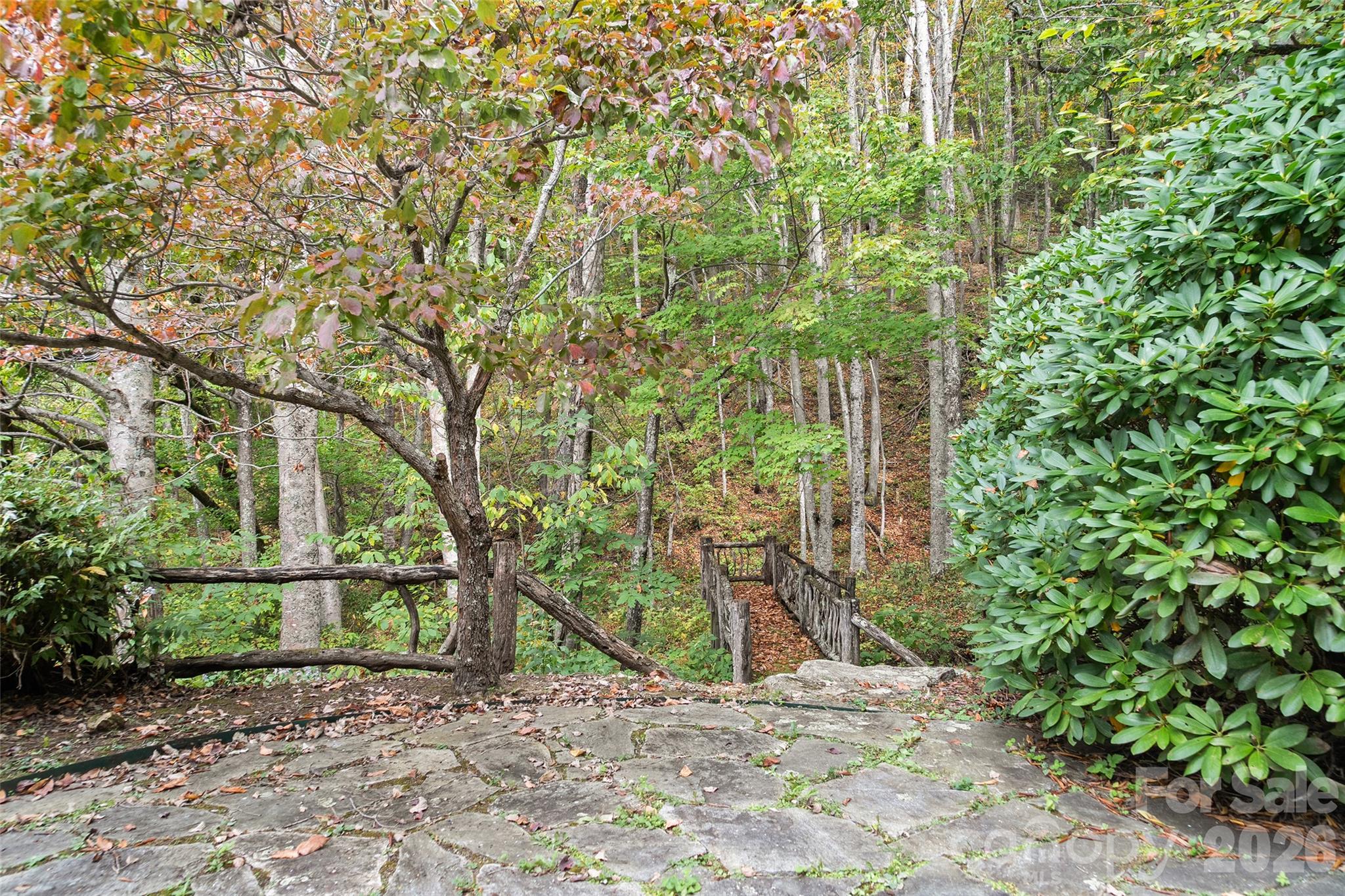 45 Smoke Vine Trail Property Photo 17
