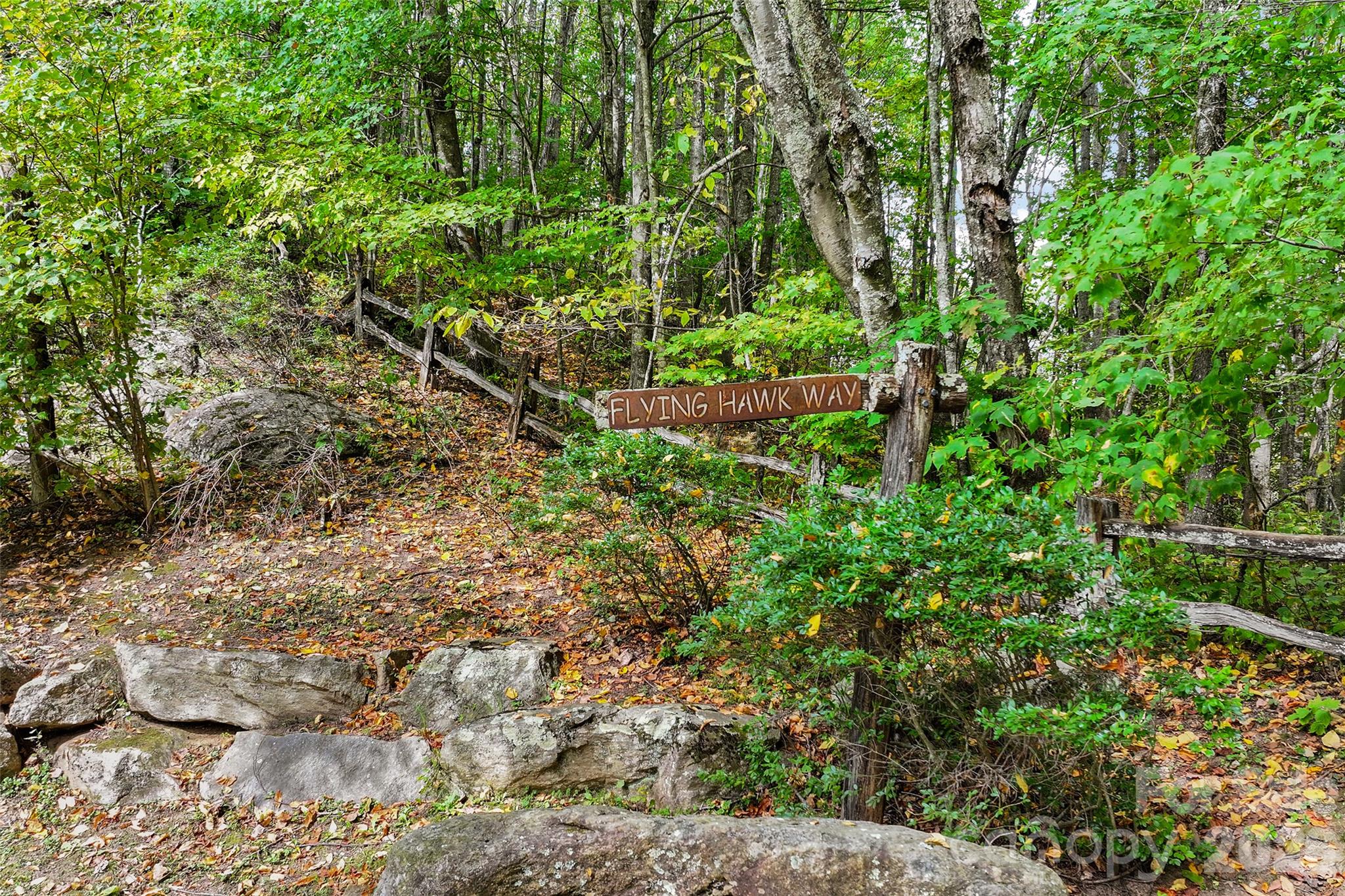 45 Smoke Vine Trail Property Photo 18