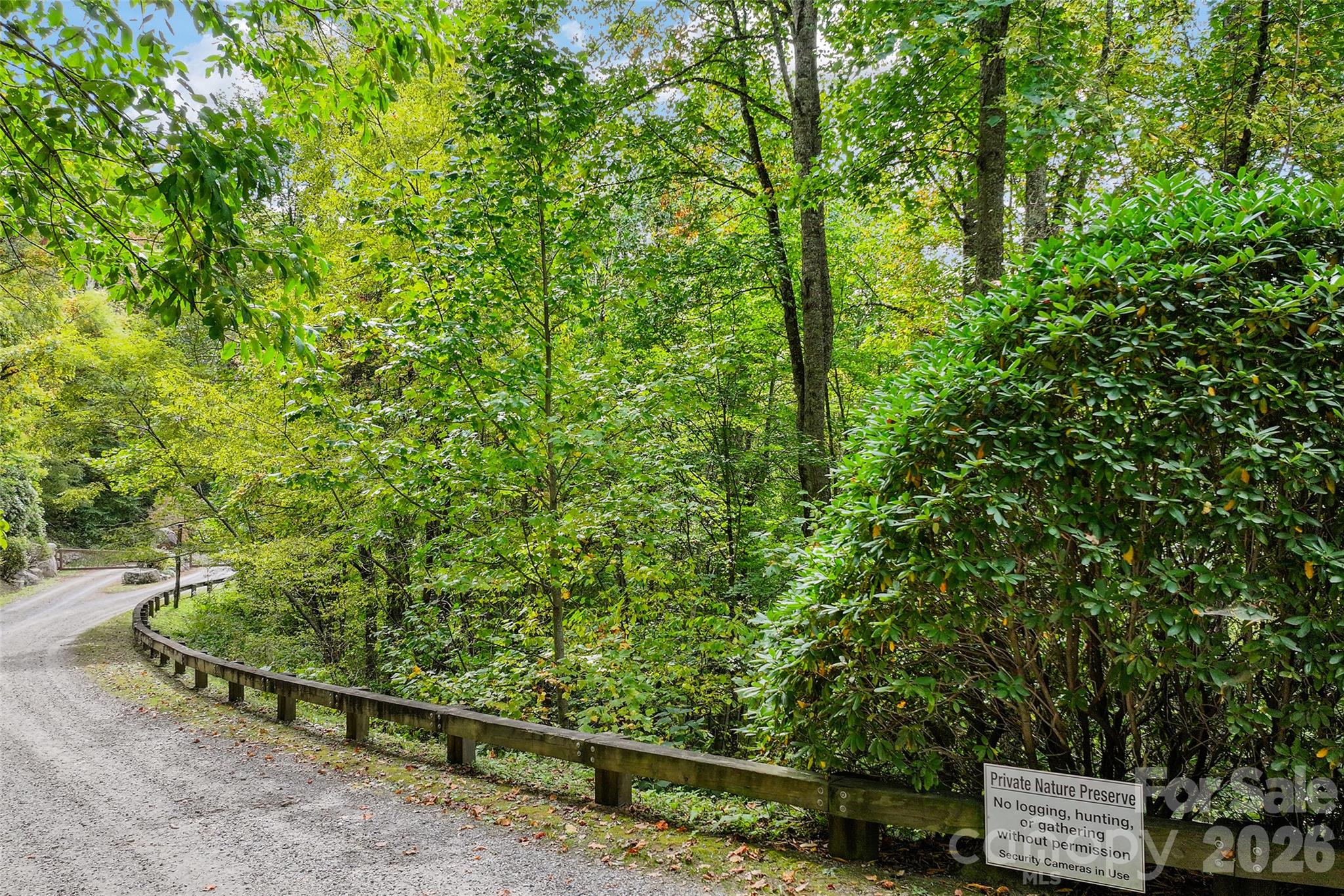 45 Smoke Vine Trail Property Photo 19