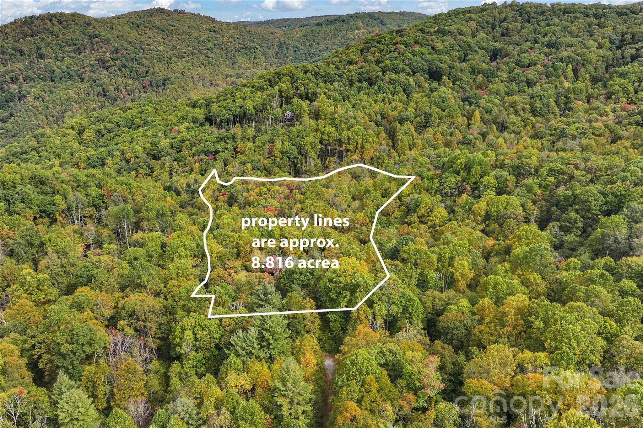 45 Smoke Vine Trail Property Photo 20