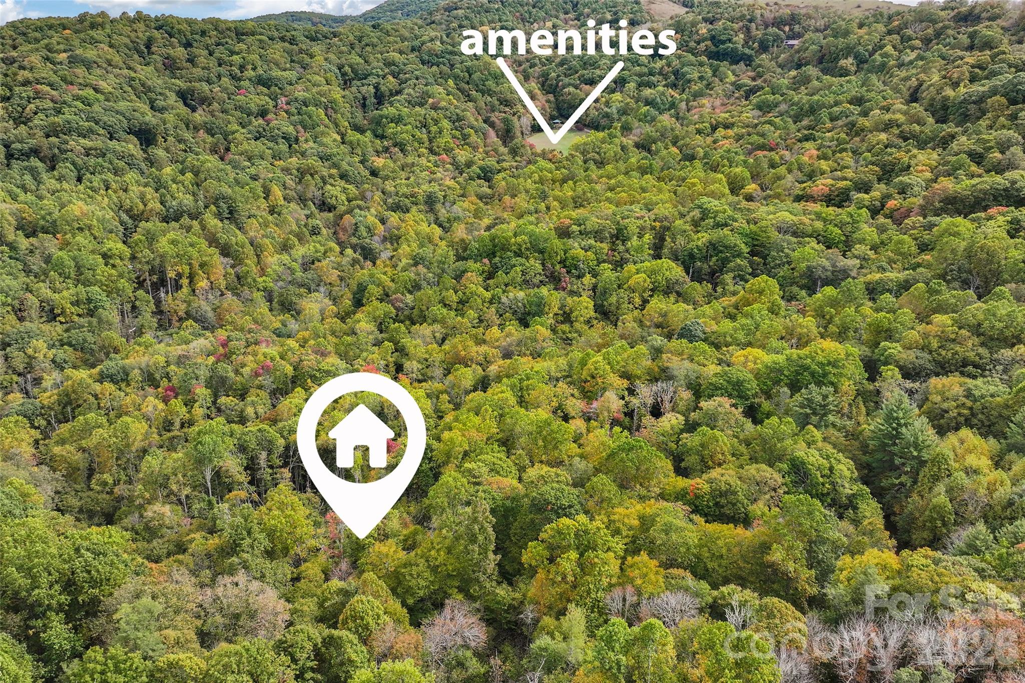 45 Smoke Vine Trail Property Photo 21