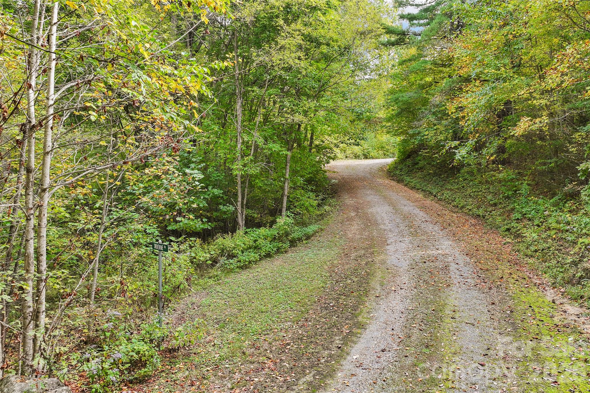 45 Smoke Vine Trail Property Photo 22