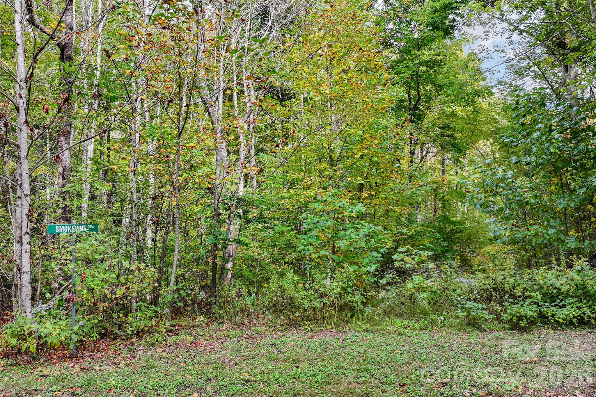 45 Smoke Vine Trail Property Photo 23