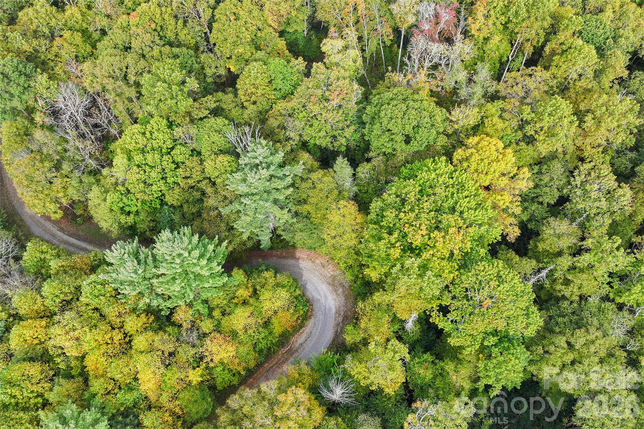 45 Smoke Vine Trail Property Photo 25
