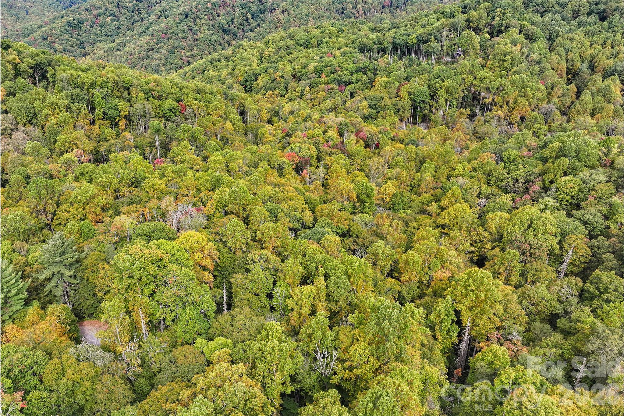 45 Smoke Vine Trail Property Photo 26
