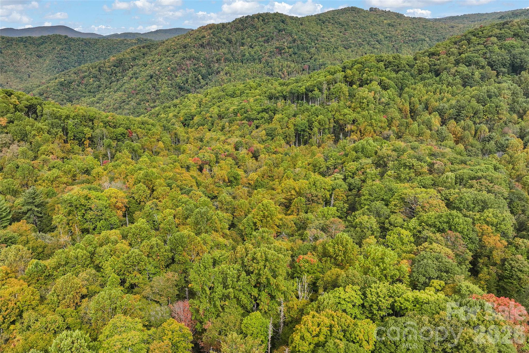 45 Smoke Vine Trail Property Photo 27