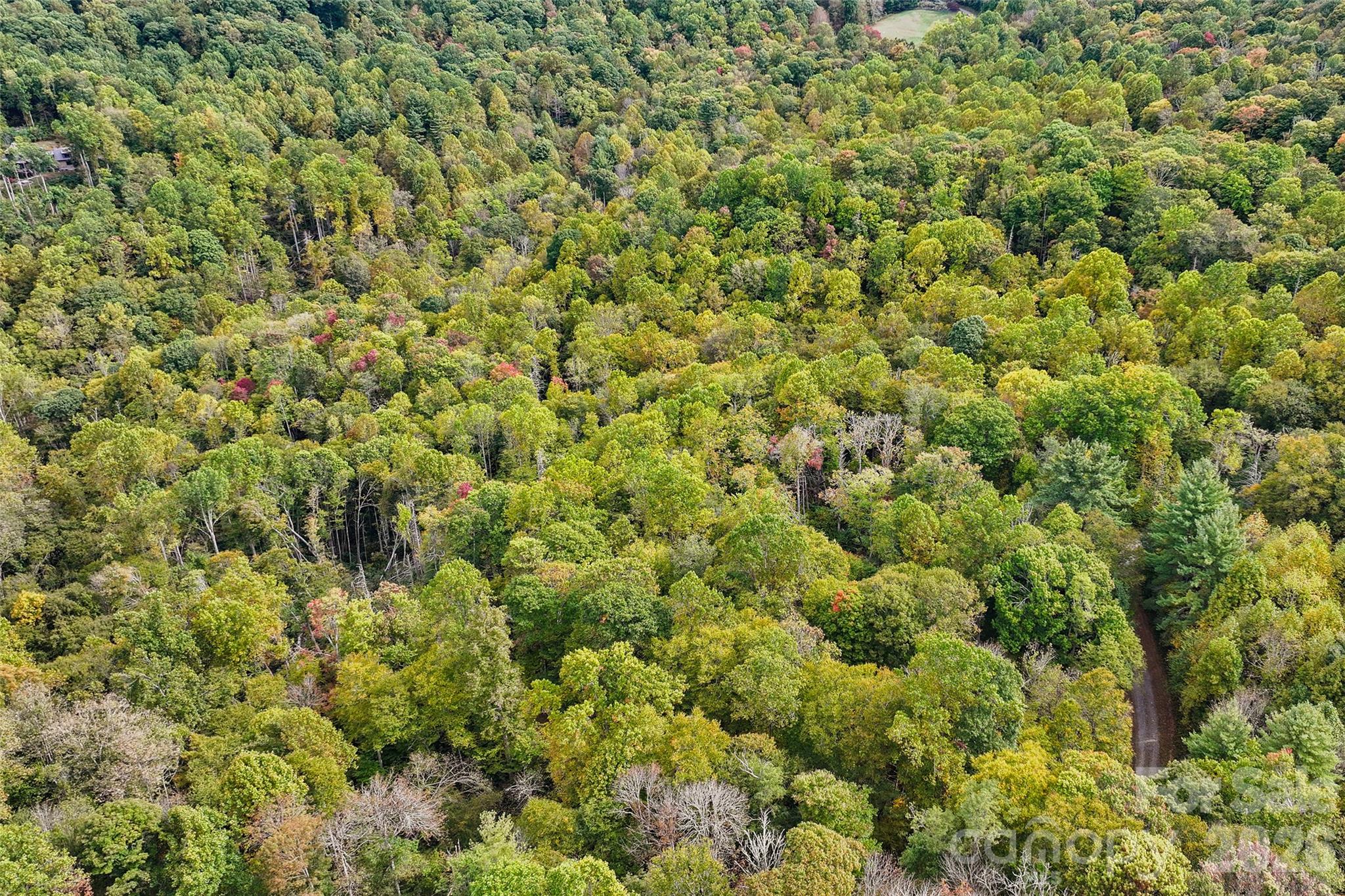 45 Smoke Vine Trail Property Photo 28